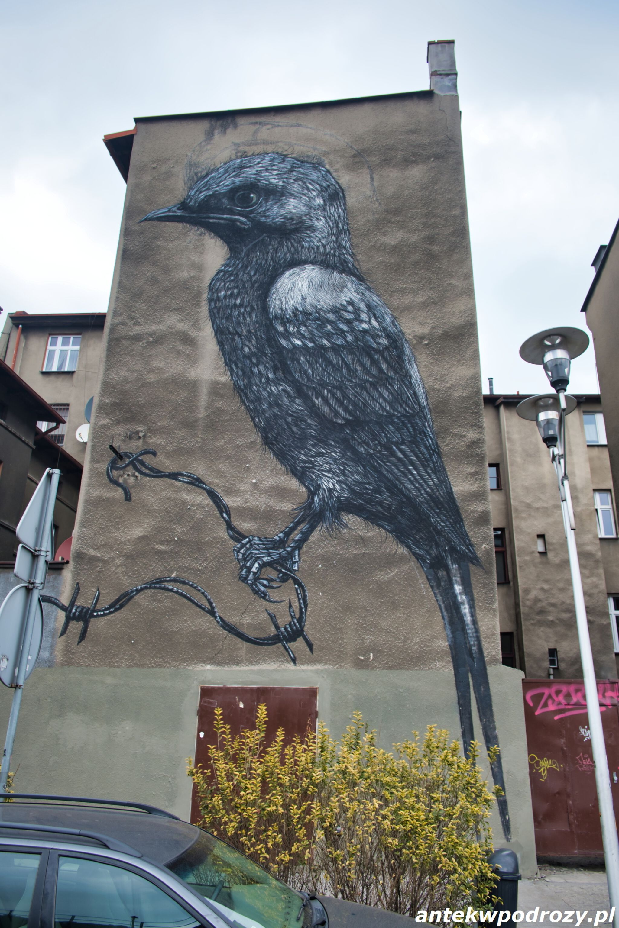 Roa&mdash;Ptaki