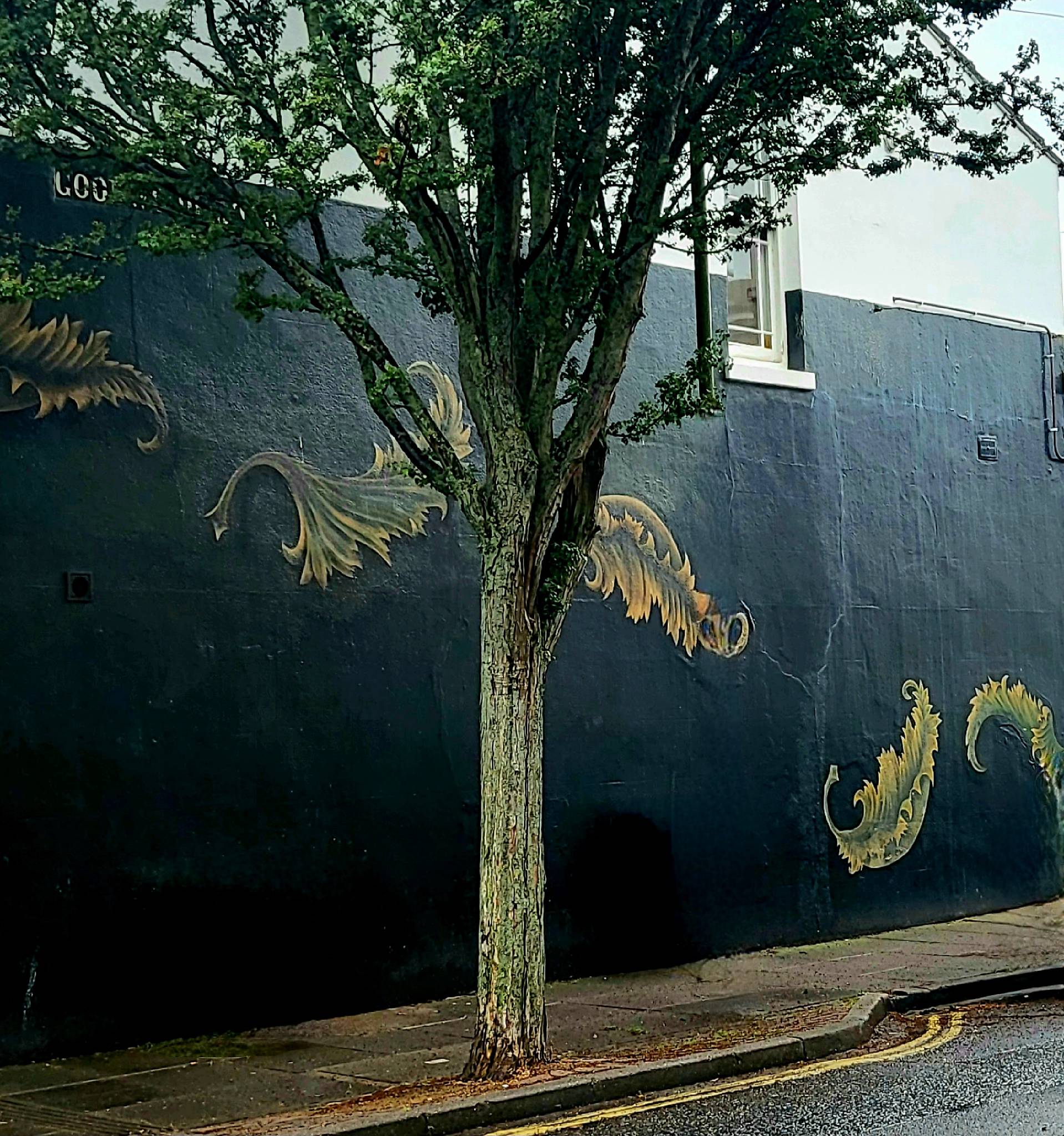 Porter&mdash;Goodwood Road