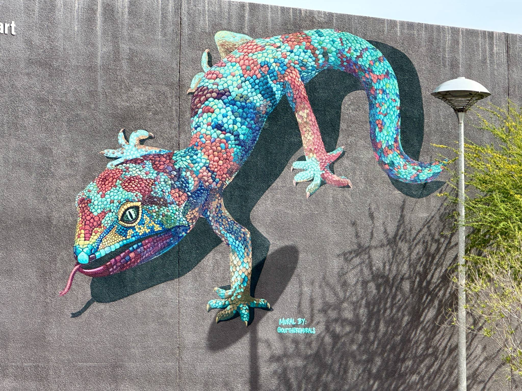 Out There Murals, Kayla Newman&mdash;A Lizard Approaches
