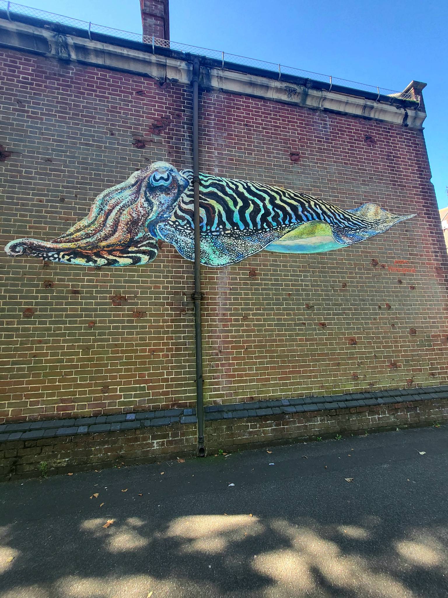 ATM&mdash;Cuttle Fish