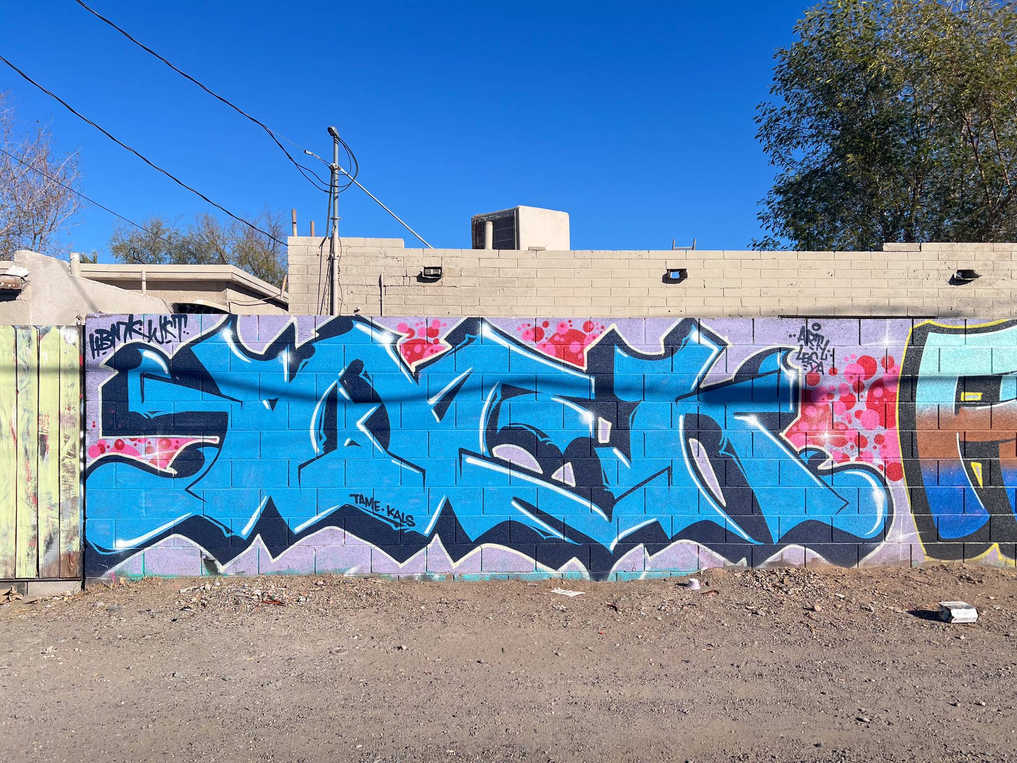 Unknown - Phoenix&mdash;Untitled