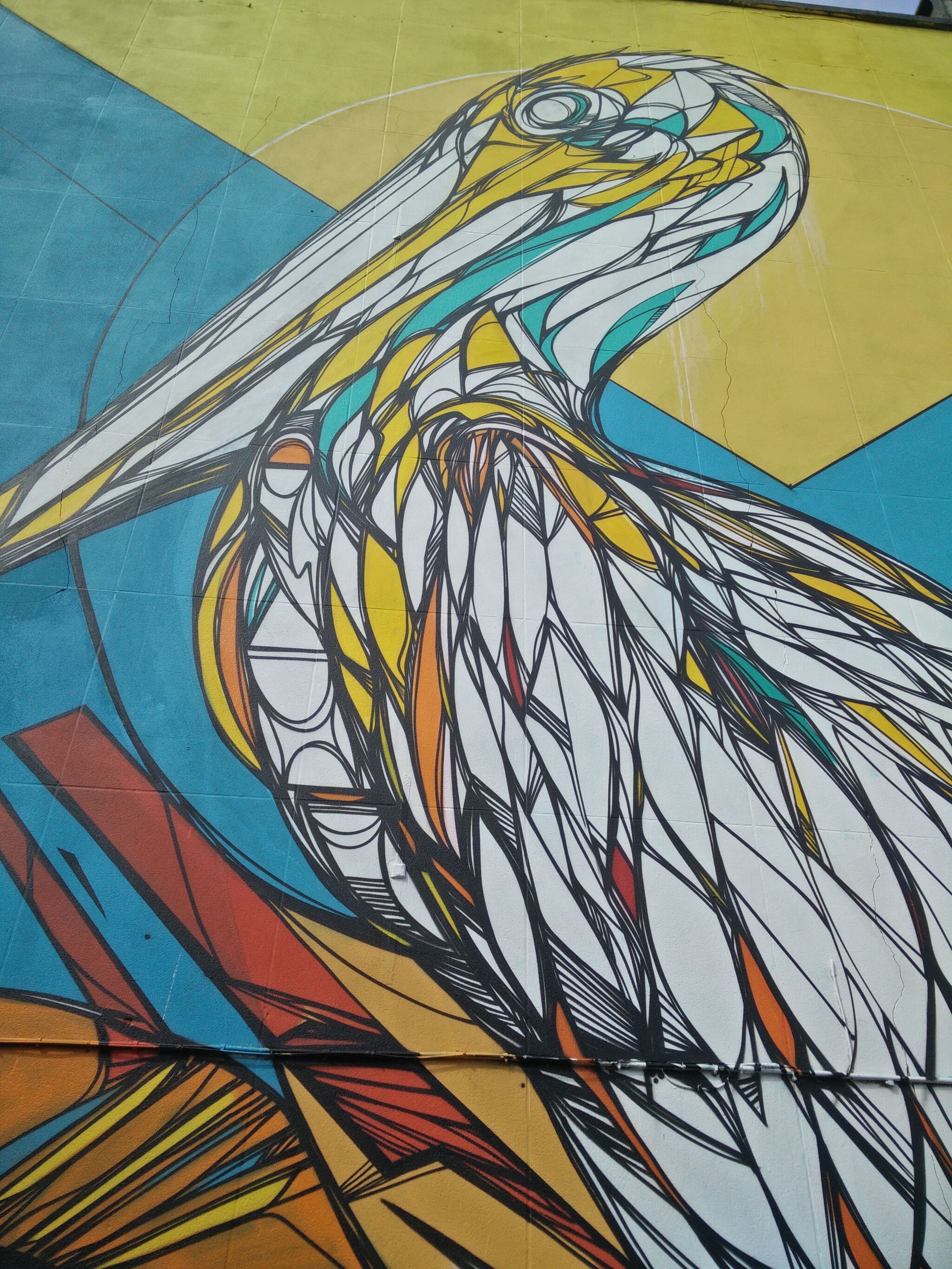 Dzia&mdash;The Pelican