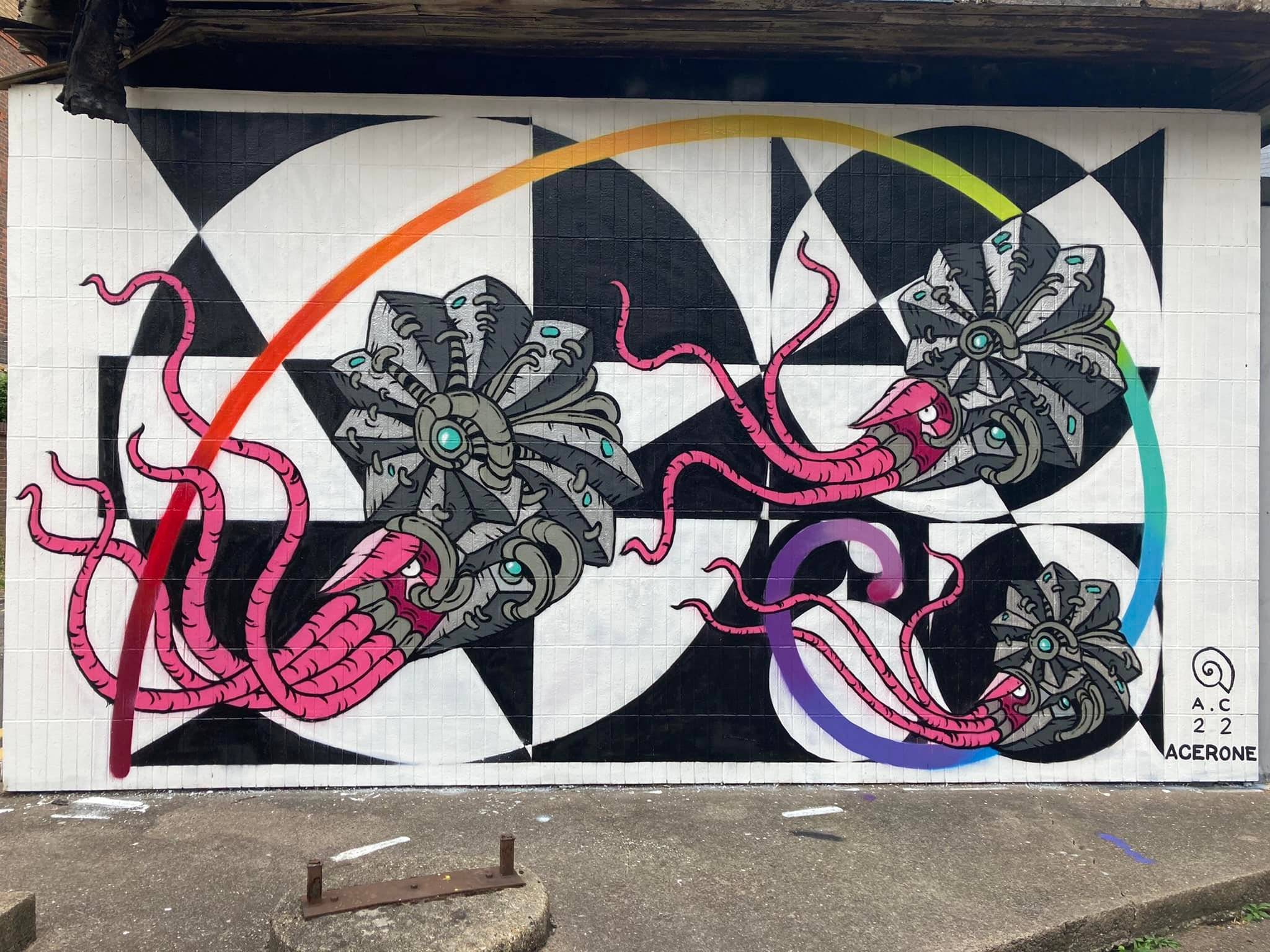AcerOne, Andy Council&mdash;Fibonacci Ammonites
