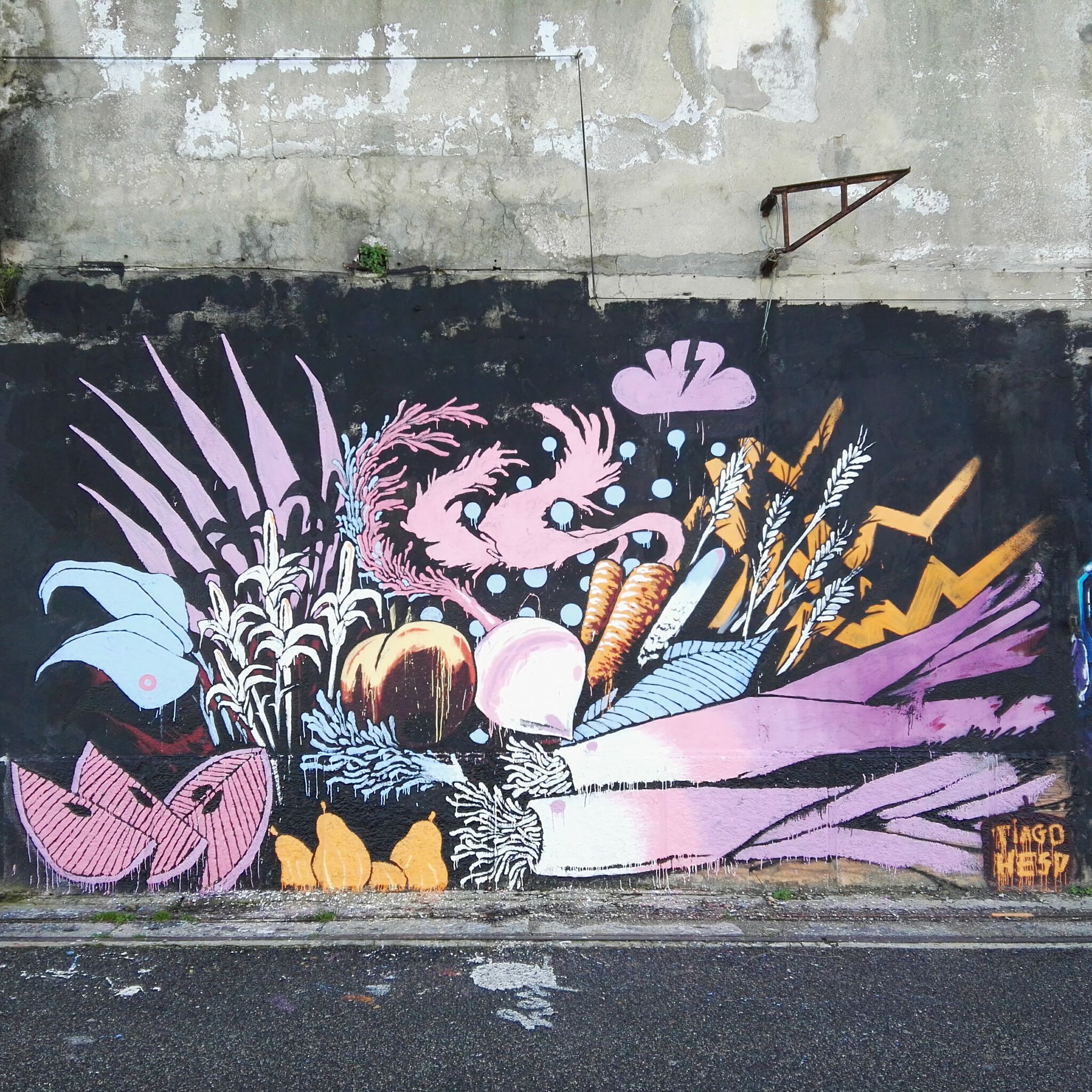 Tiago Hesp&mdash;vegetables