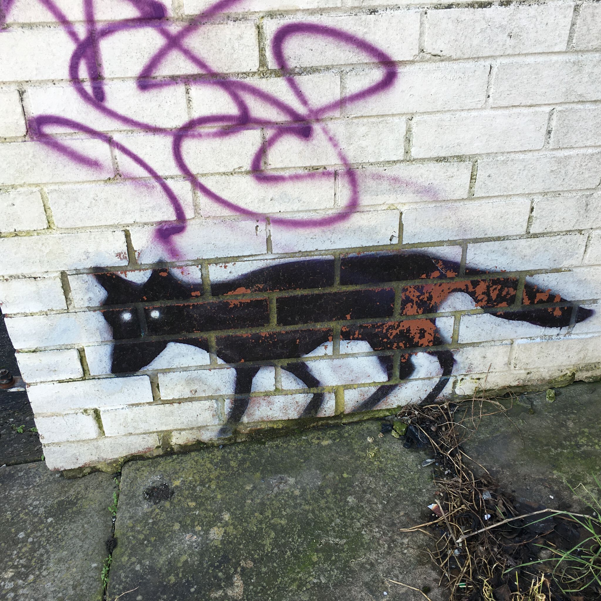 sikoart70&mdash;Urban Fox