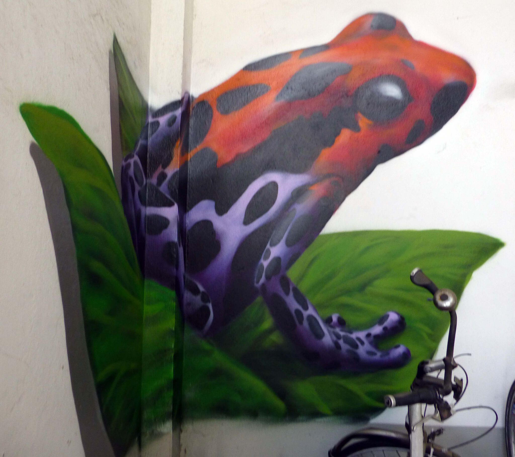 TUBUKU&mdash;Urban Jungle