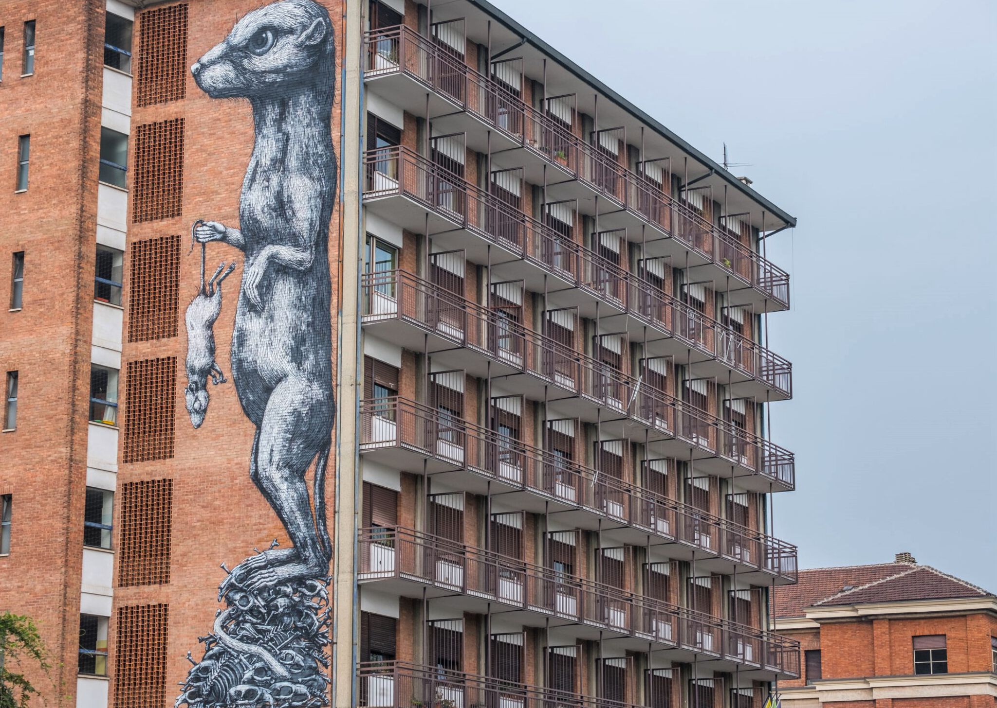 Roa&mdash;Weasel