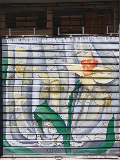 Narciso