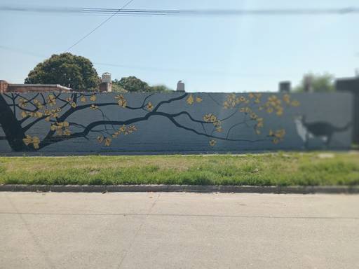 Yellow trumpet tree and cat