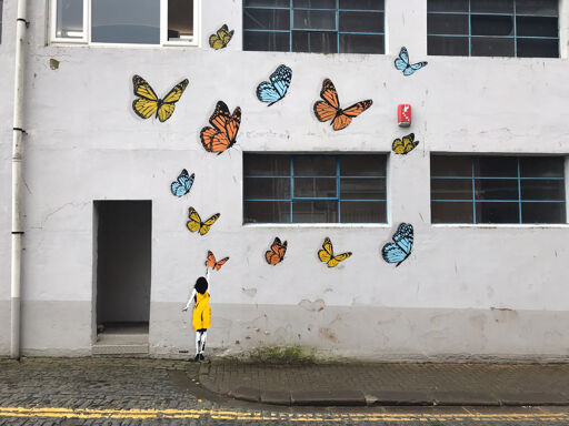 Butterfly Girl: Create what you Dream