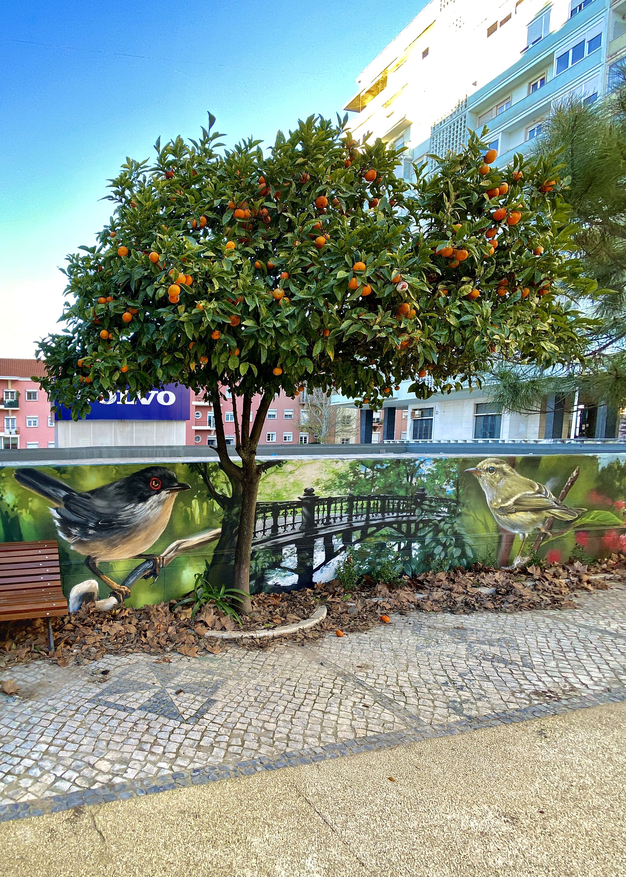 stylerone90&mdash;Engenheiro Ribeiro-Telles