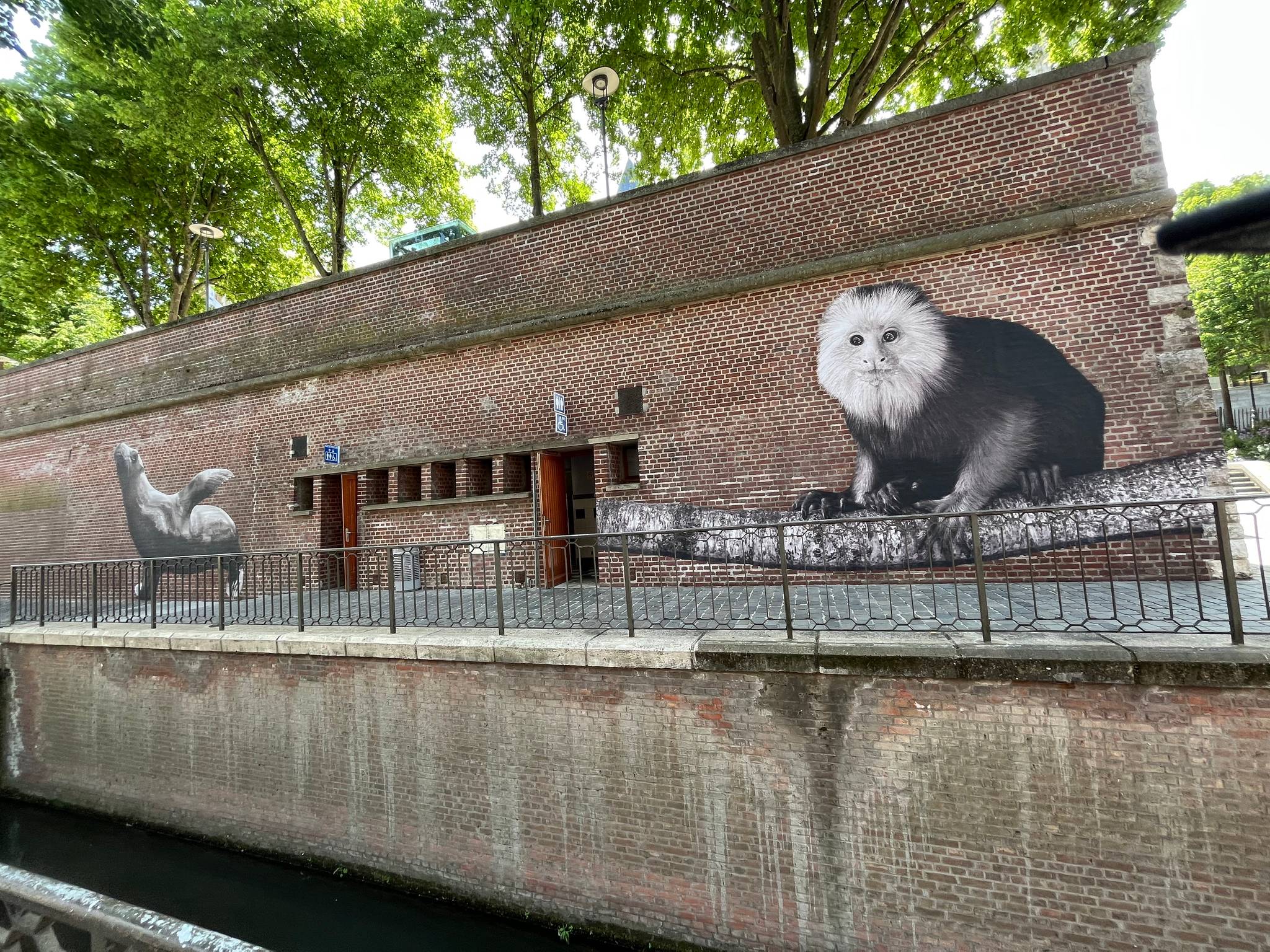 SONAC&mdash;OTARIE DE CALIFORNIE et TAMARIN-LION À TÊTE DORÉE