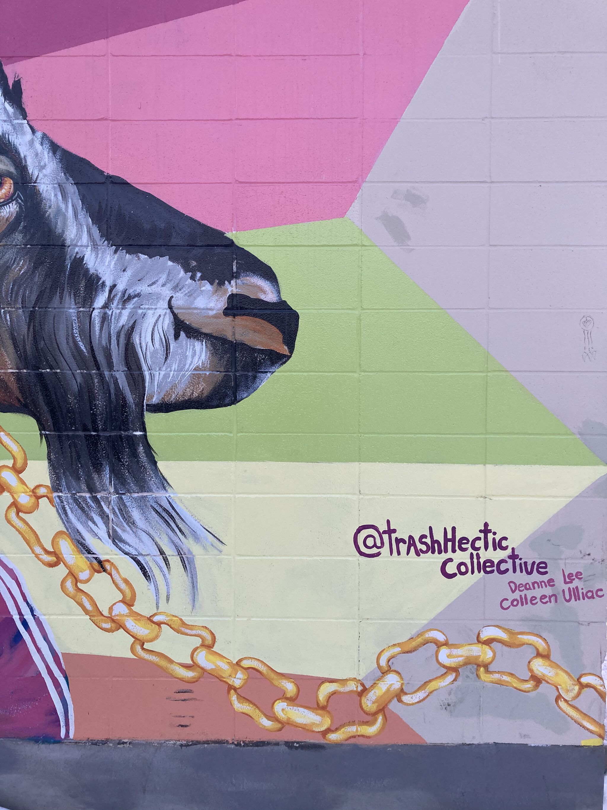 Trash Hectic Collective&mdash;The Chain