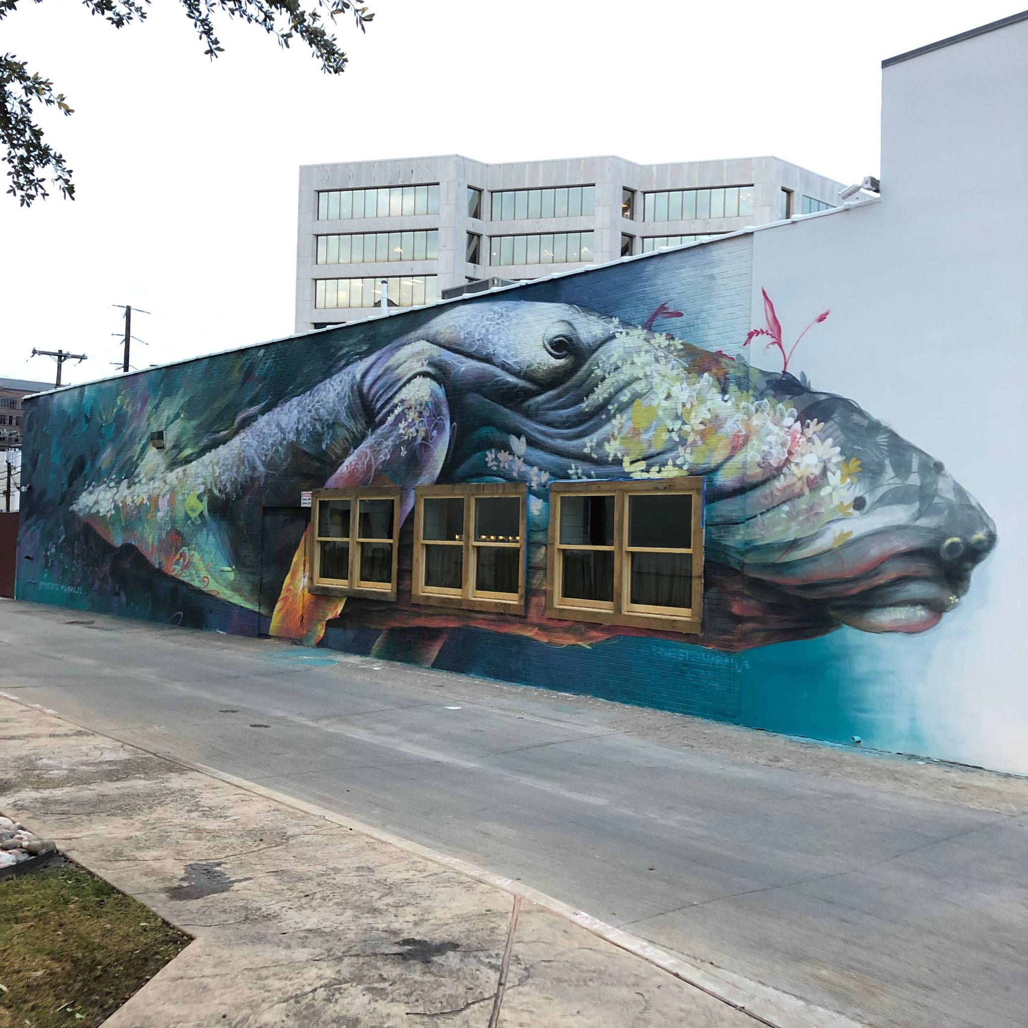 Ernesto Maranje&mdash;"Whale"