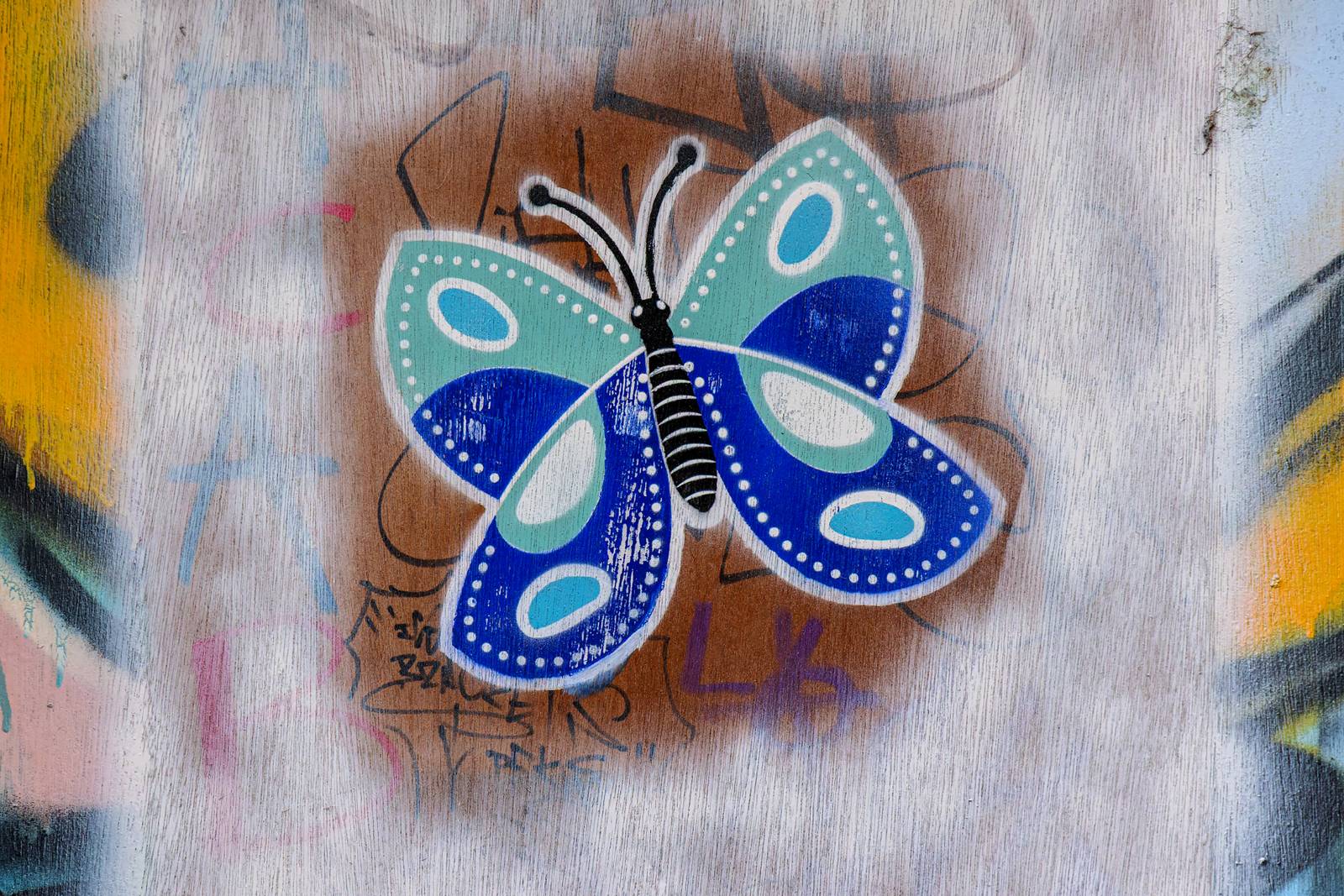 Perplexed Alien Anthropologist&mdash;Butterfly