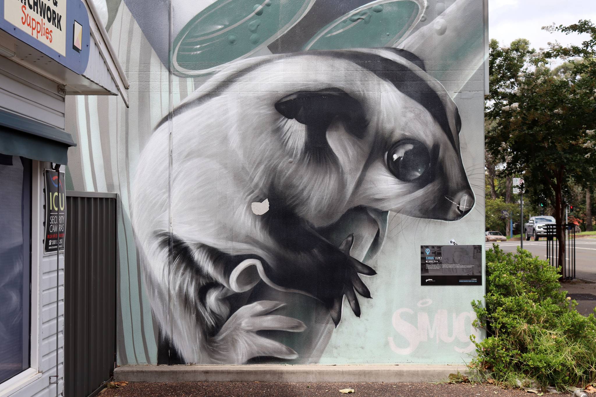 Smug&mdash;George Sobierajski