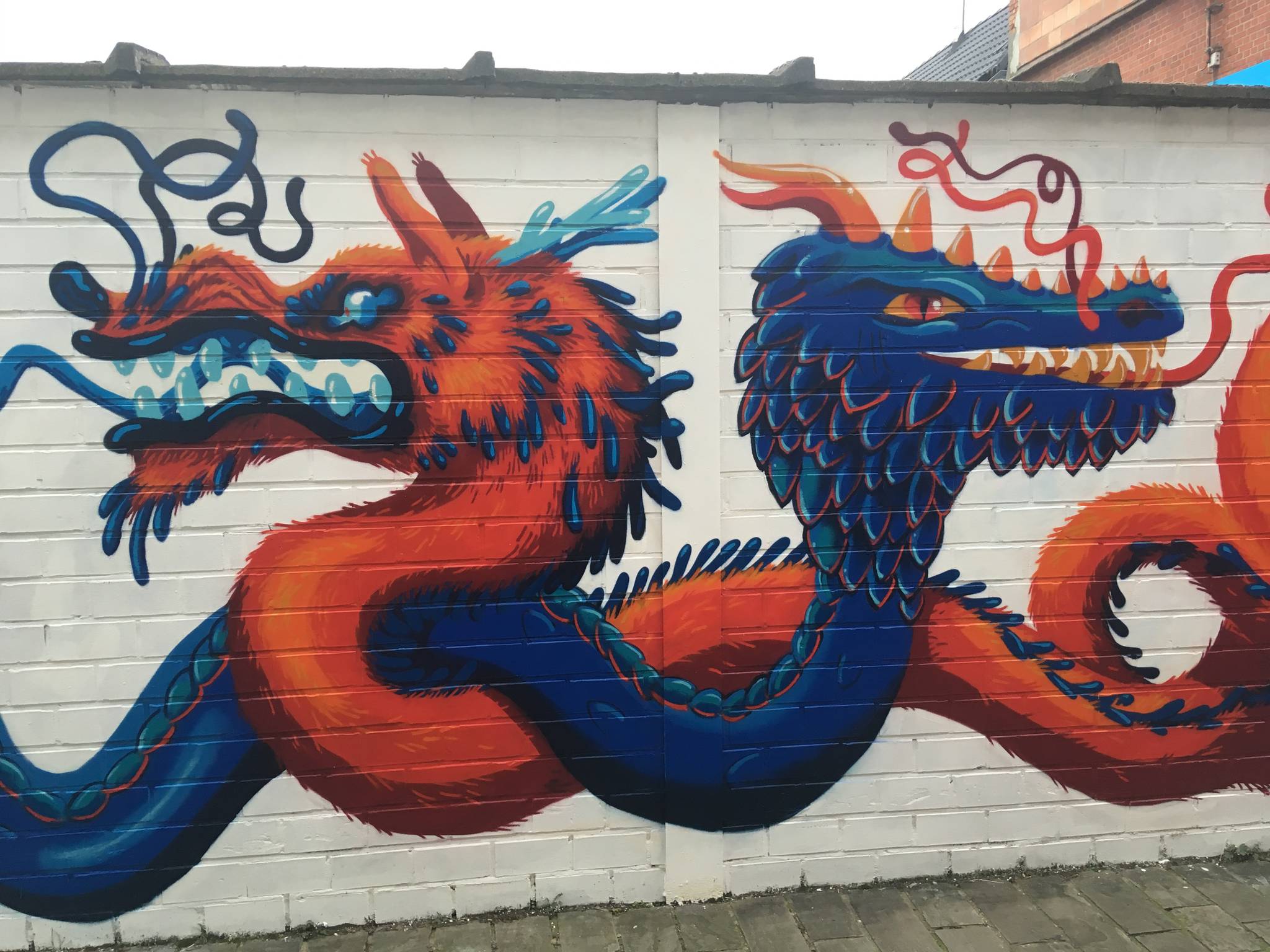 Ems Verhaert, Napam&mdash;Dragon fun