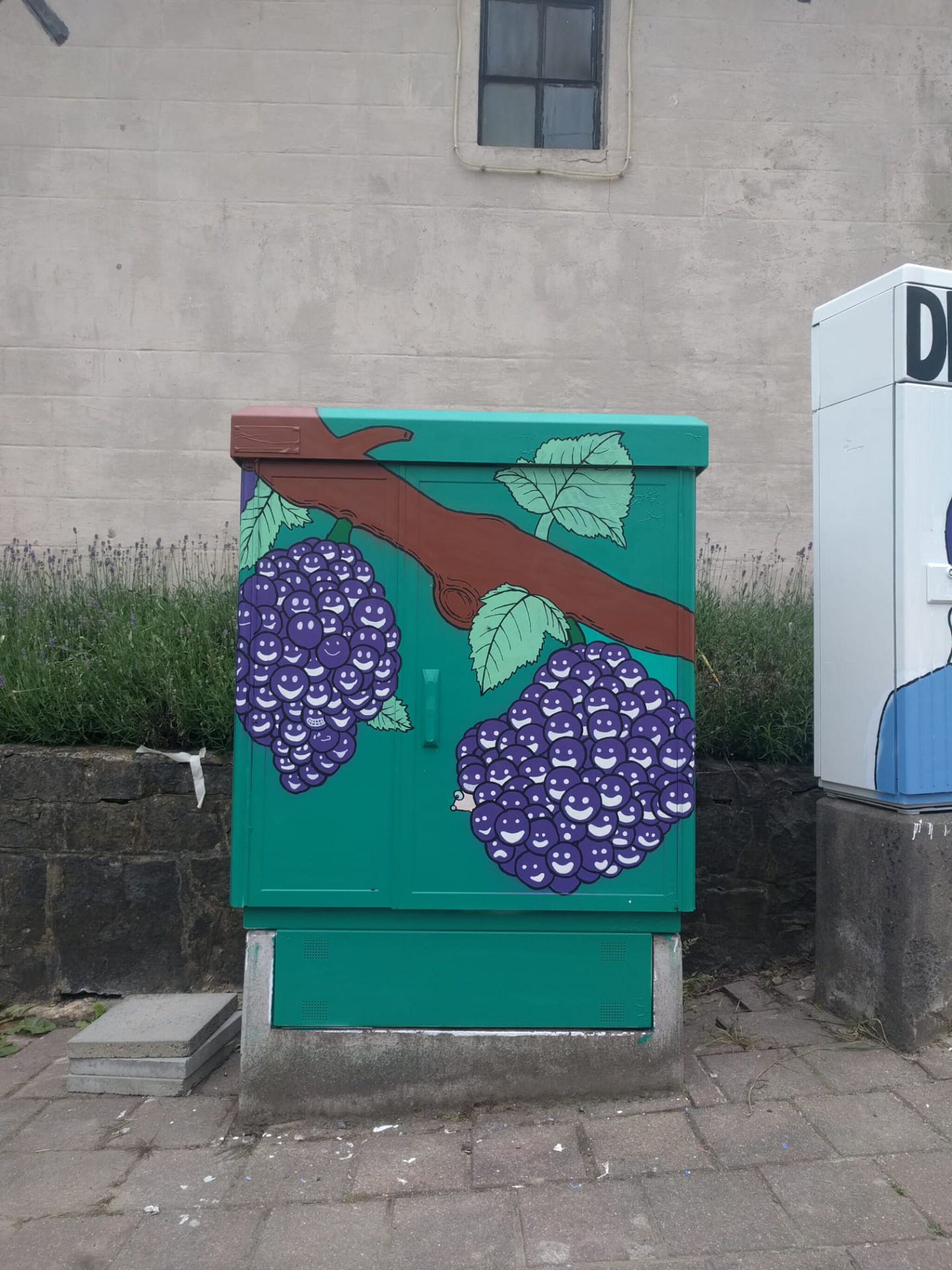 Bearhole&mdash;Tour Elentrik - Druifje