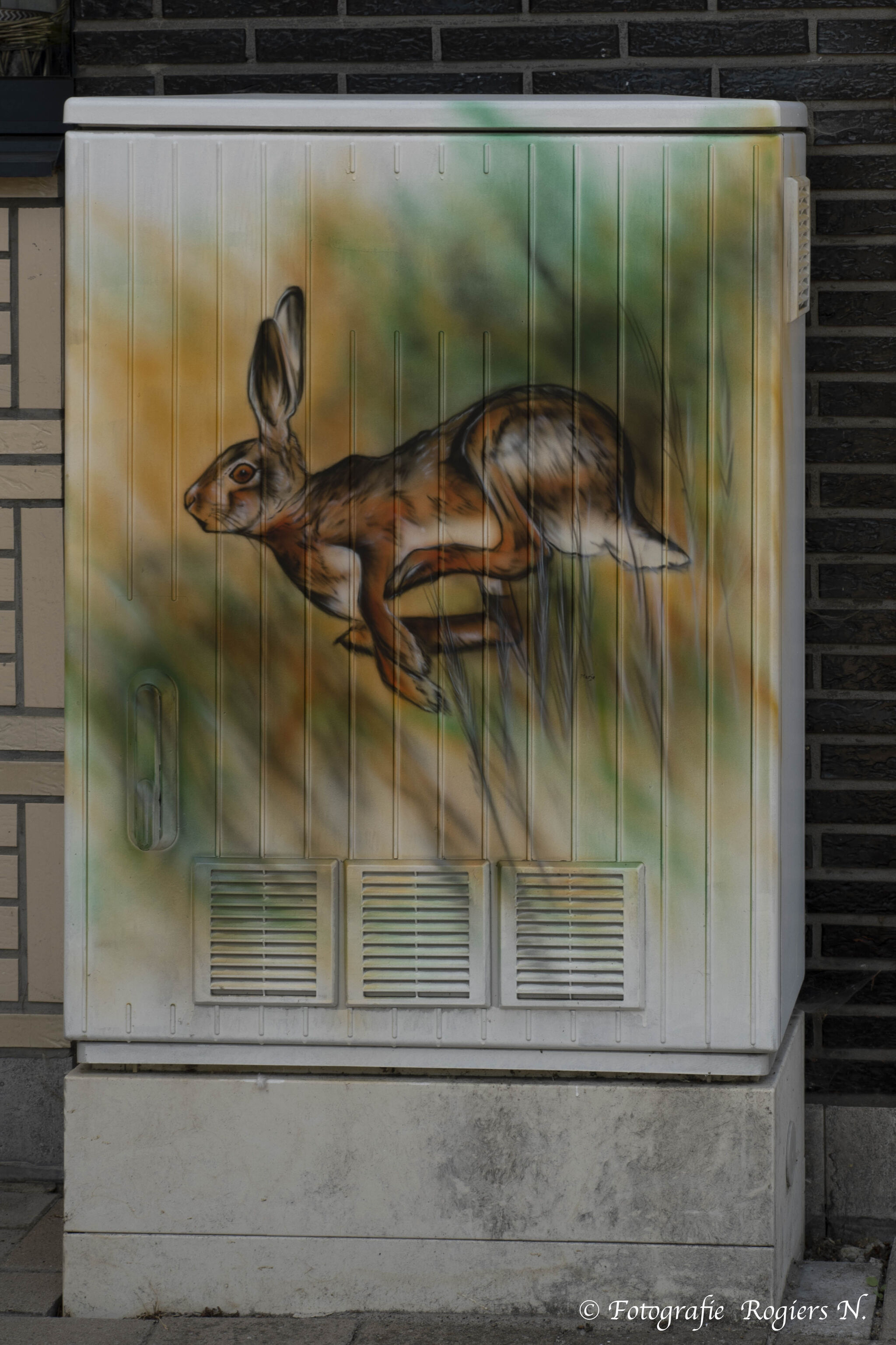 Mario&mdash;Tour Elentrik - Haas Gehaast