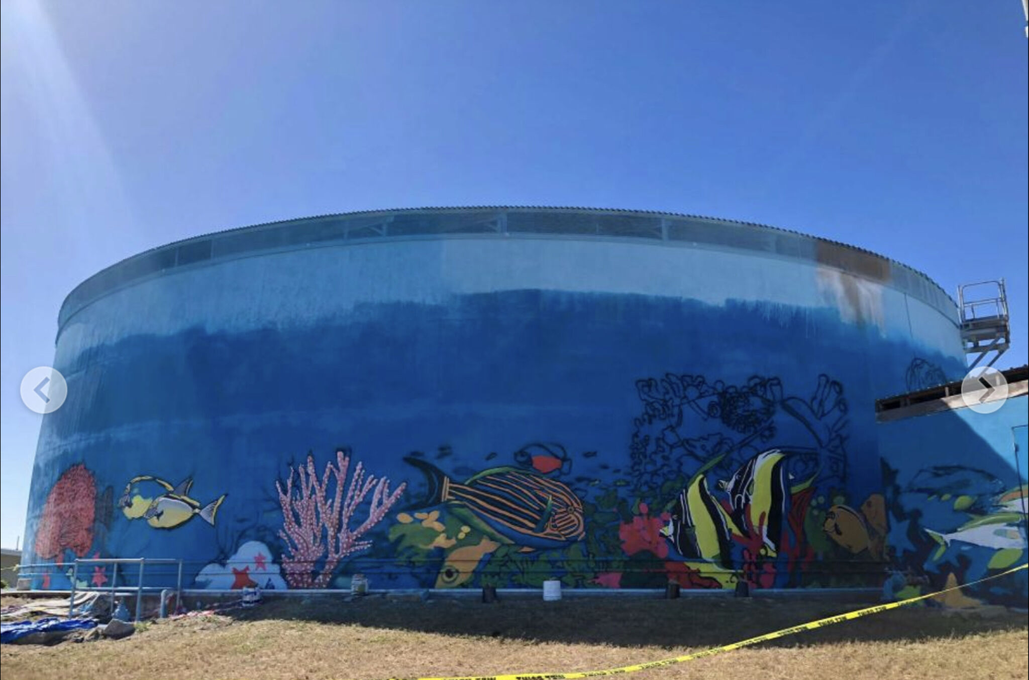 June Hintz&mdash;Bowen Water Tank Art