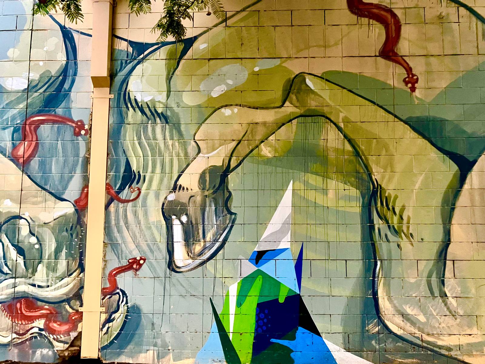 Unknown - Adelaide&mdash;undefined