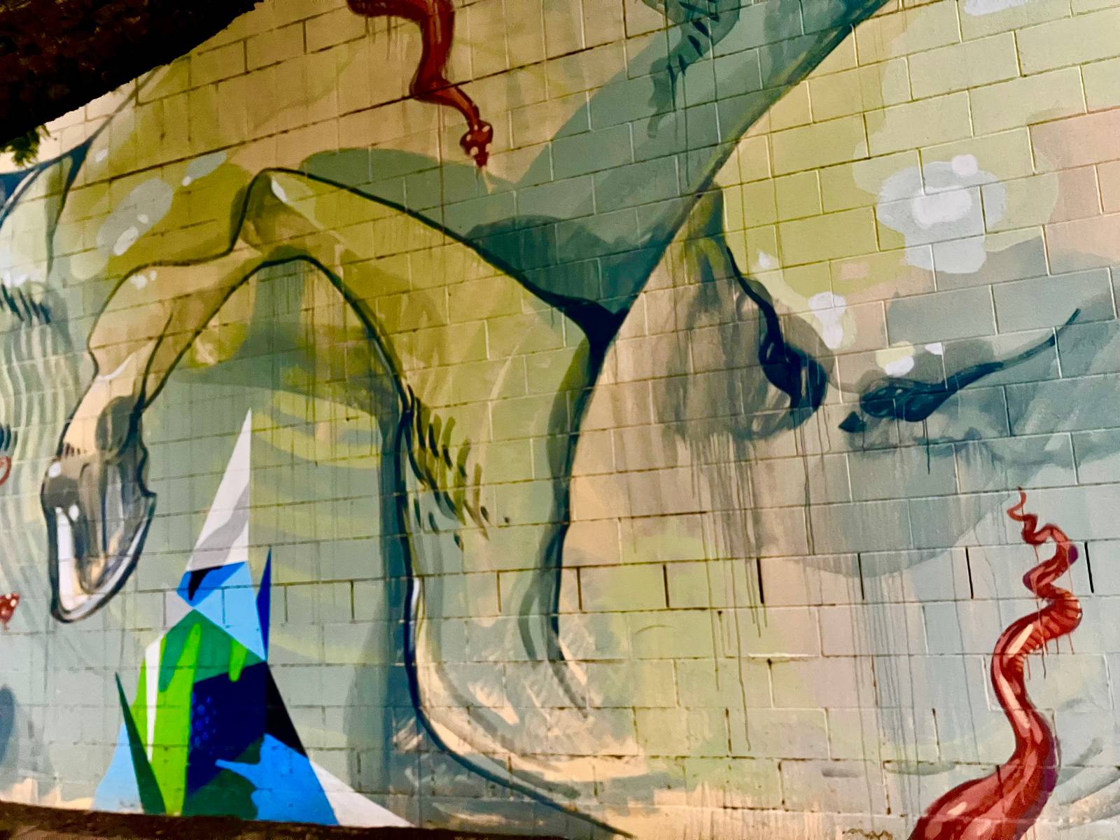 Unknown - Adelaide&mdash;undefined