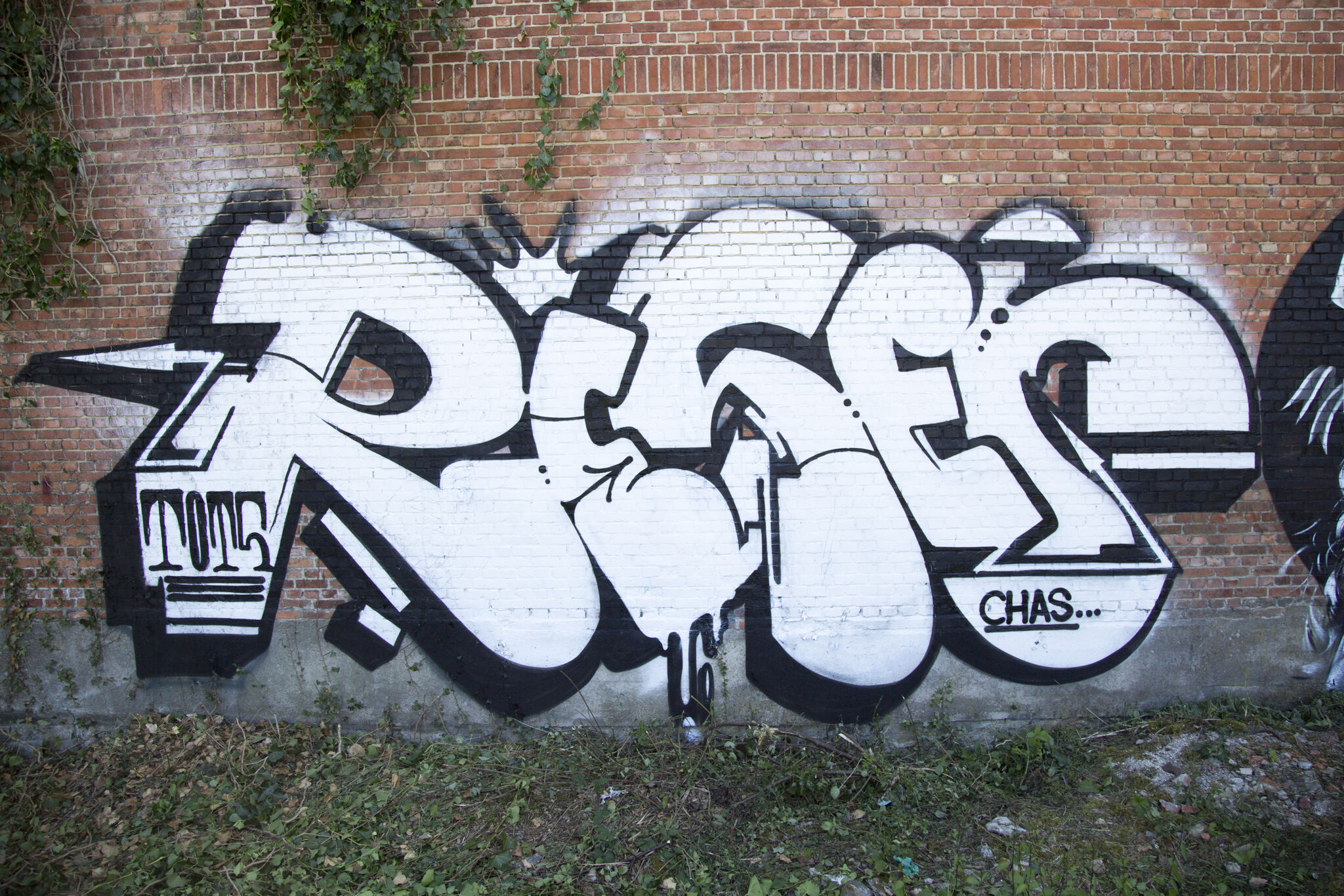 Reser, MACS, SWET&mdash;Untitled