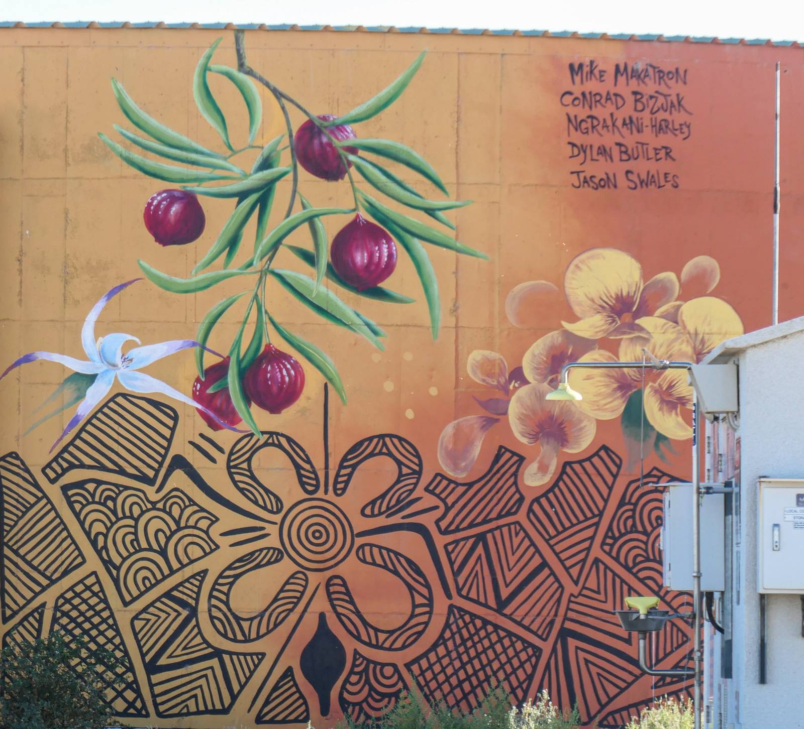 Mike Makatron, Conrad Bizjak, Dylan Butler, Ngrakani Harley Hall, Jason Swales&mdash;Minlacowie Water Tower Mural