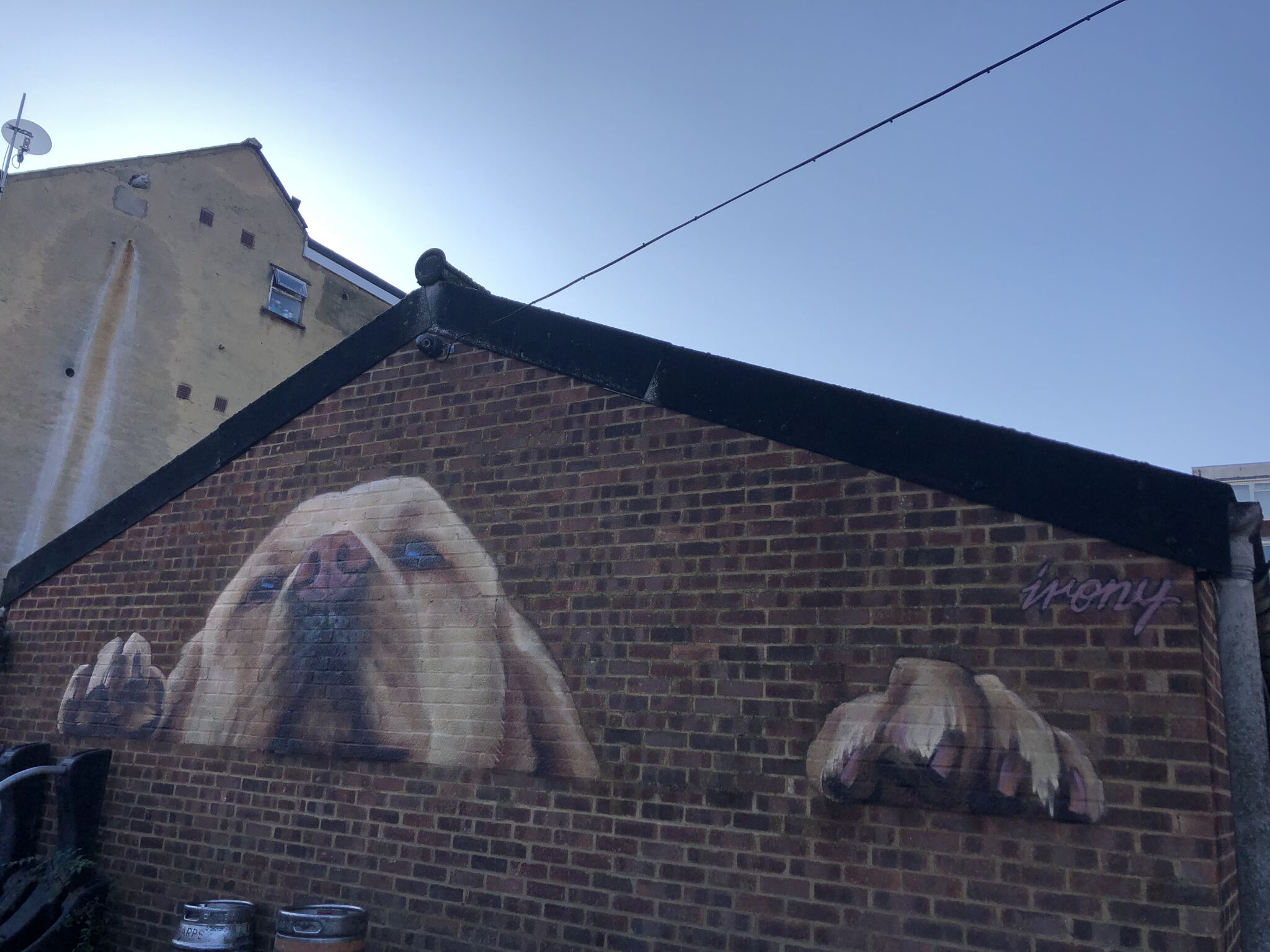 Irony&mdash;A Big Dog