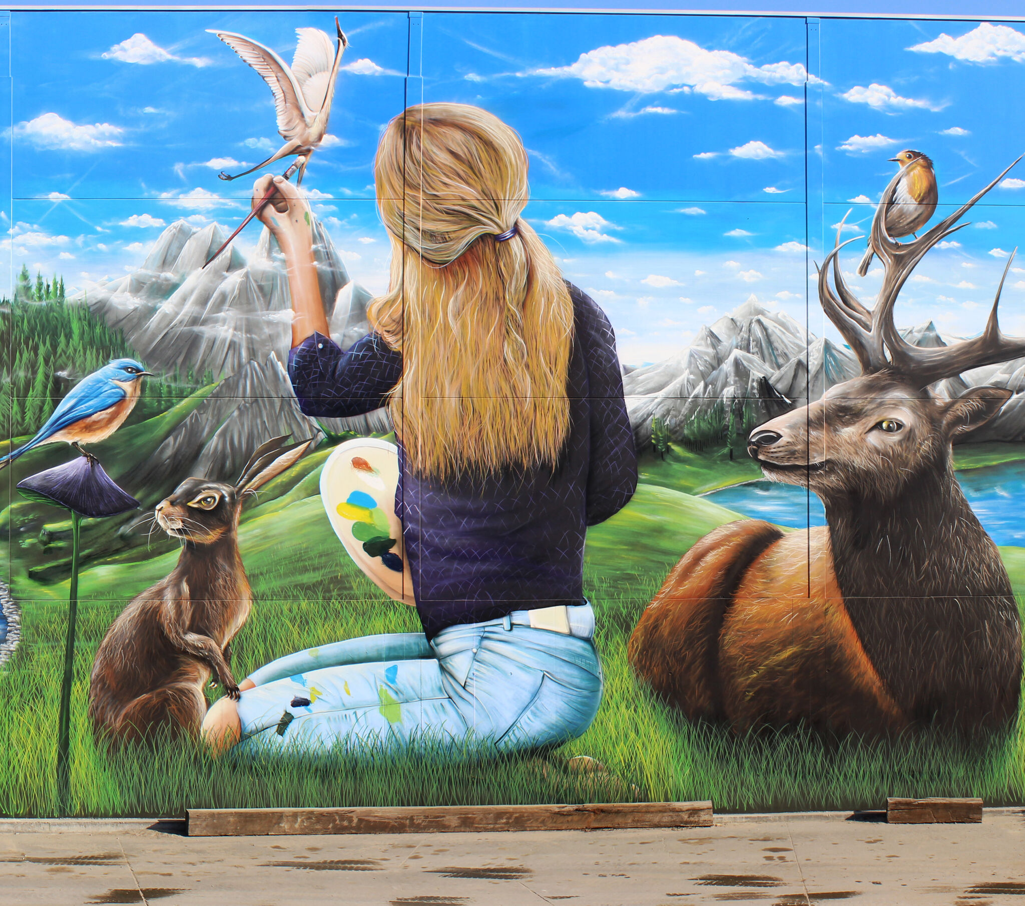 David Duits&mdash;Paint the sky