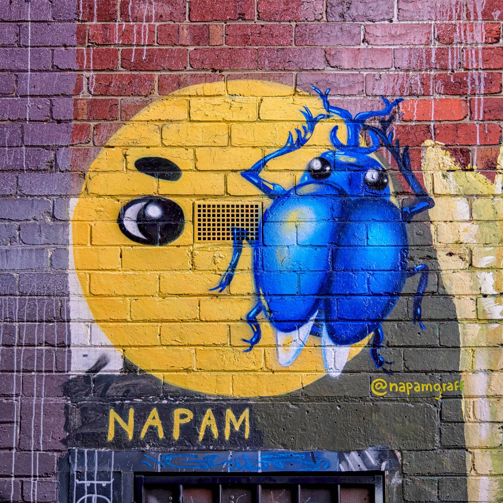 Napam&mdash;Scarab Beetle