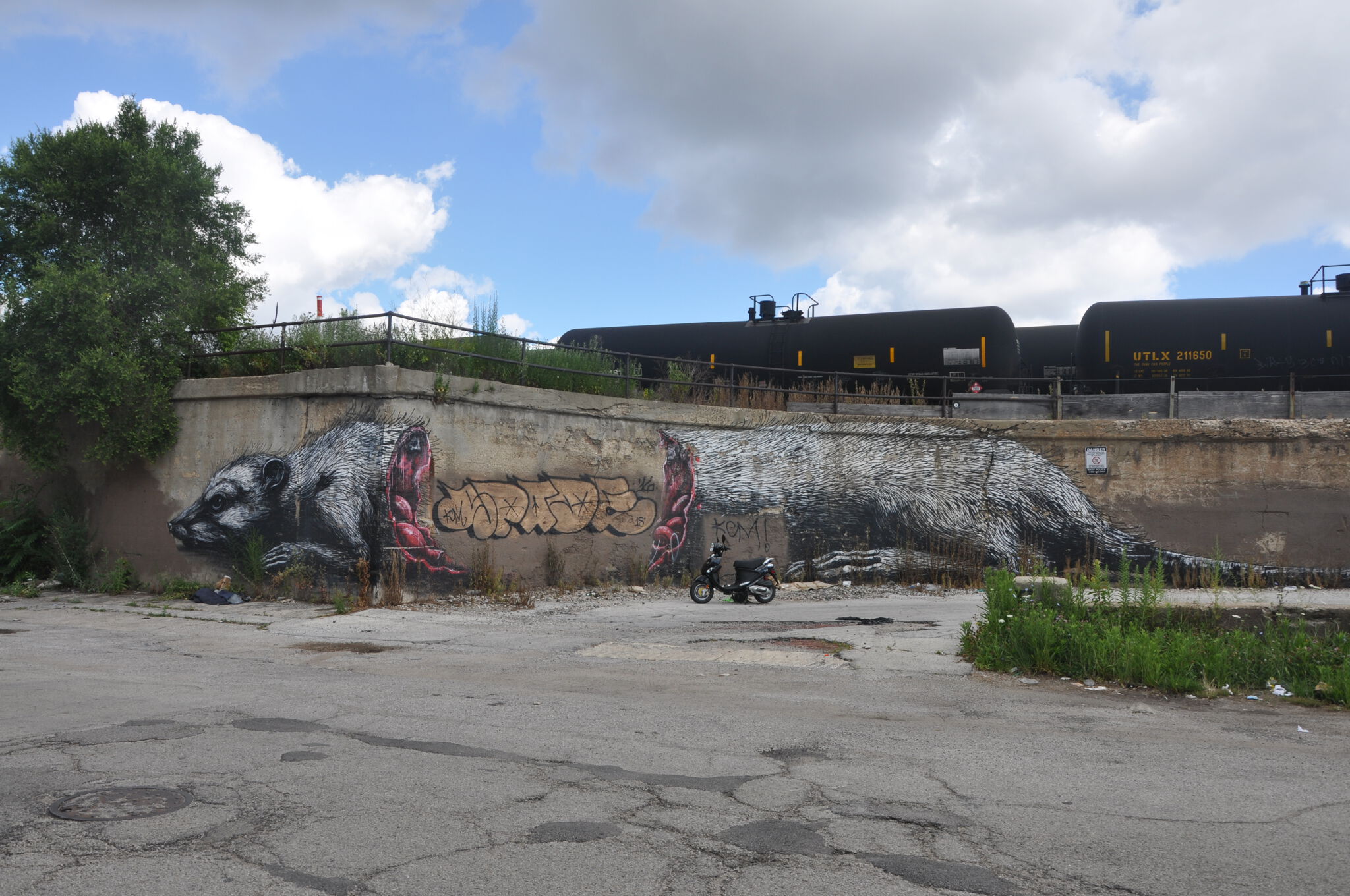 Roa&mdash;ROA