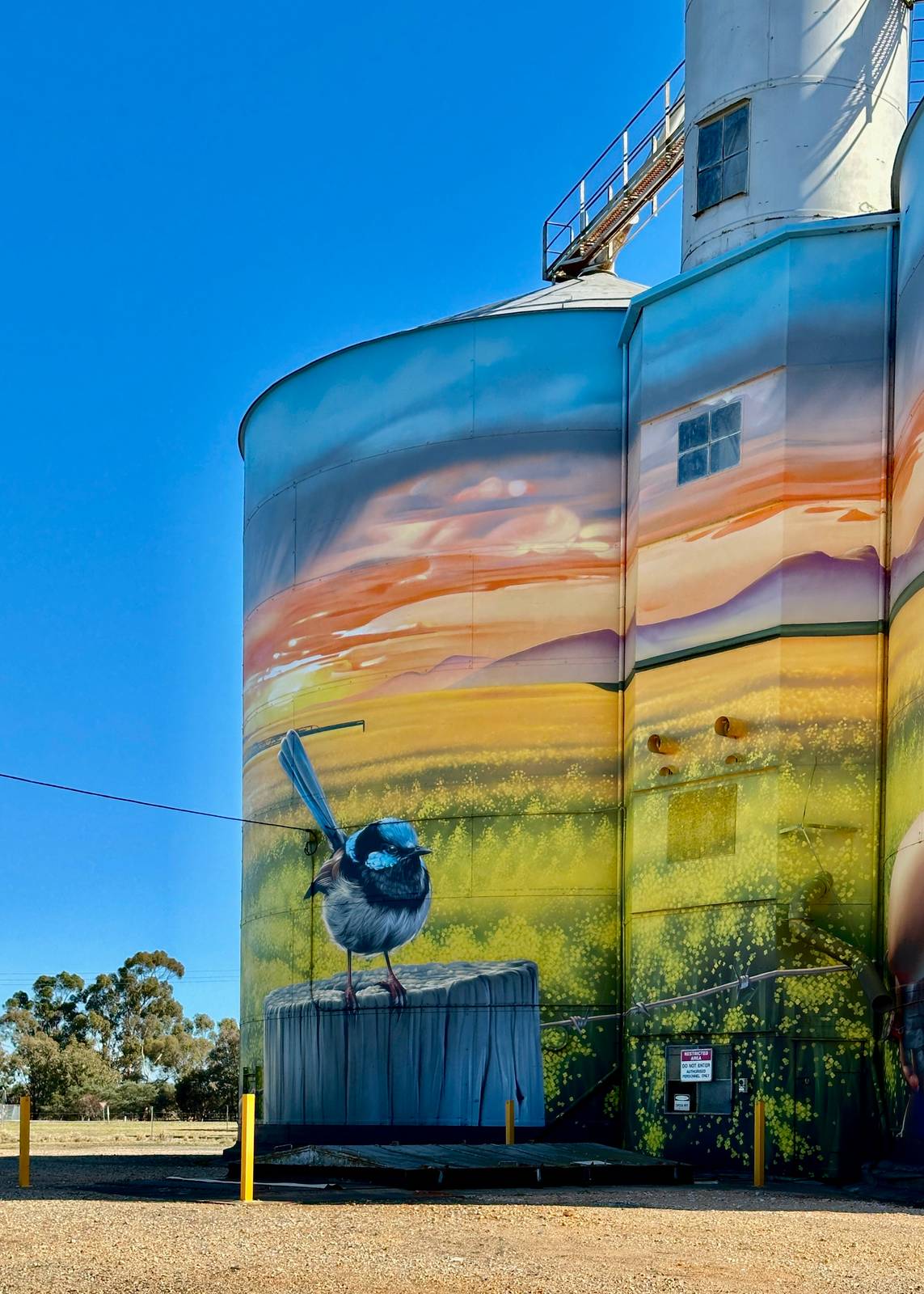 Smug&mdash;Rupanyup Silo Art