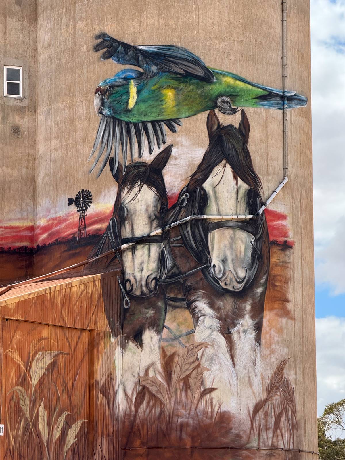 Jarrod Loxton&mdash;Copeville Silo
