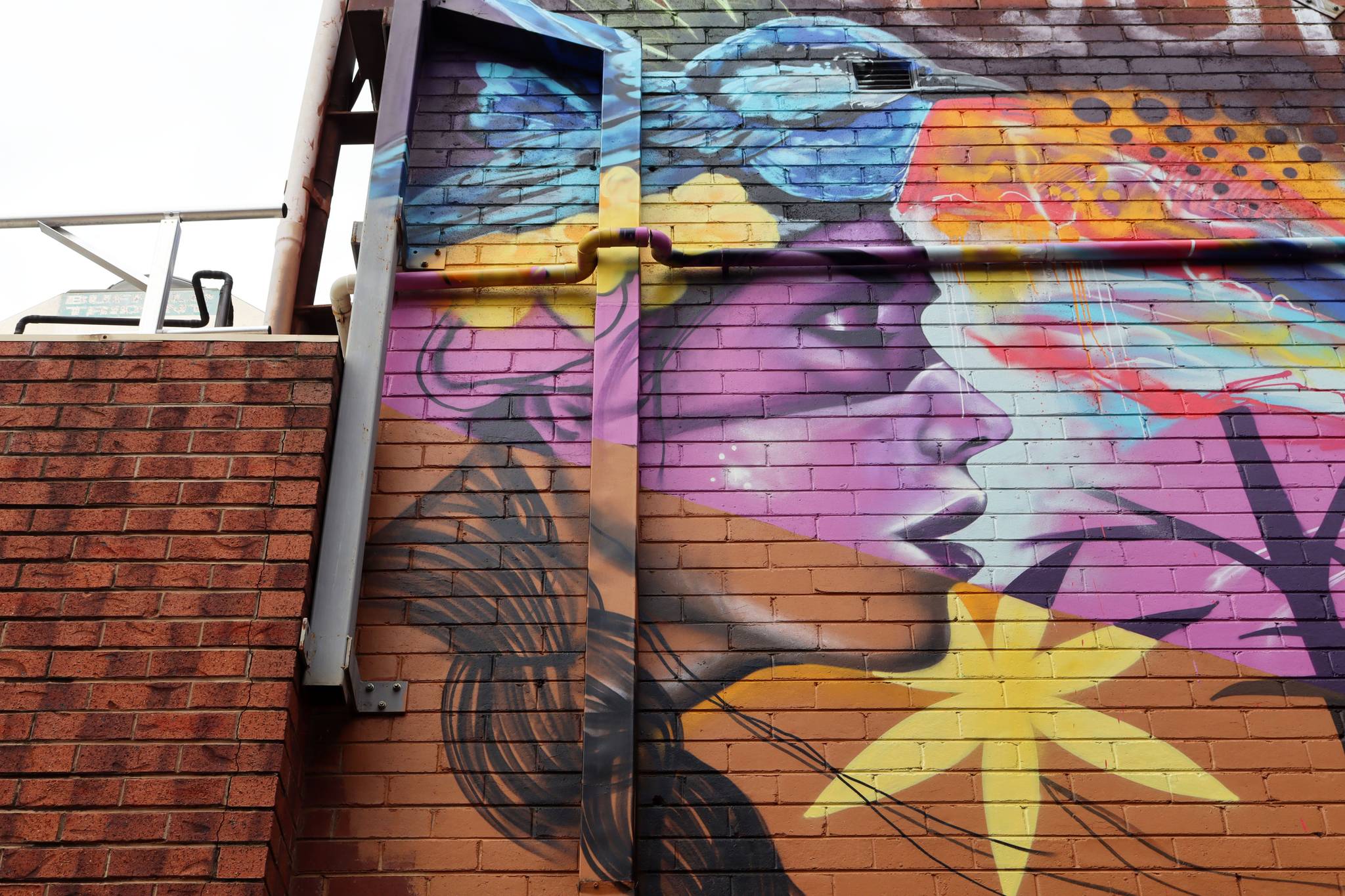 The Brightsiders, The Zookeeper, Drapl&mdash;Cowra Laneway Mural