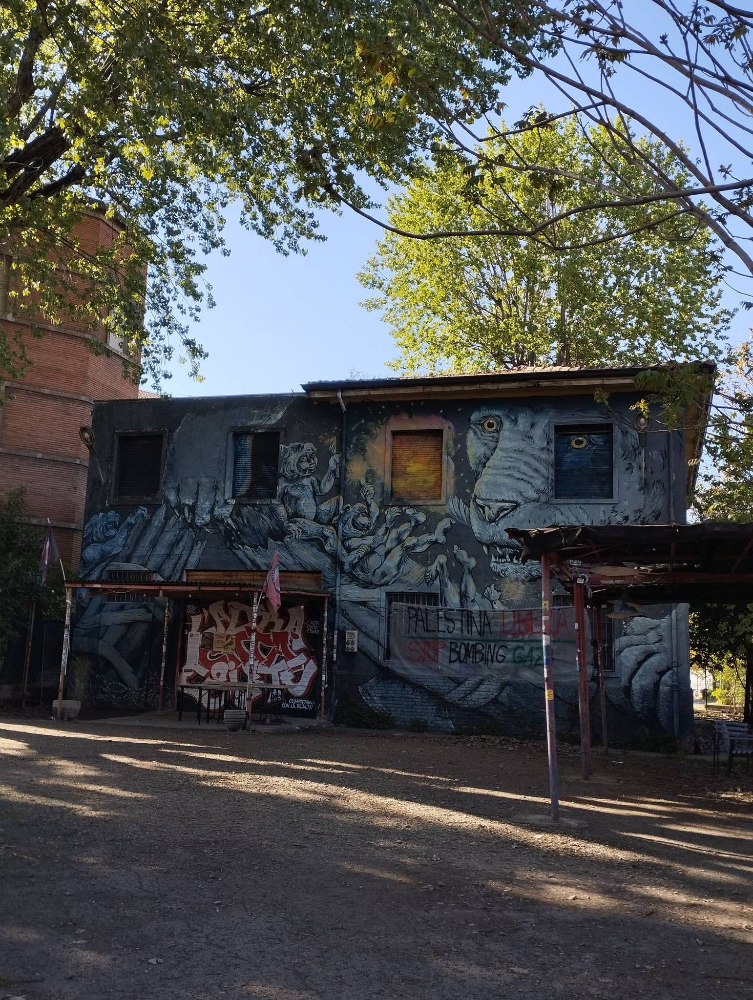 Erica Il Cane&mdash;Untitled