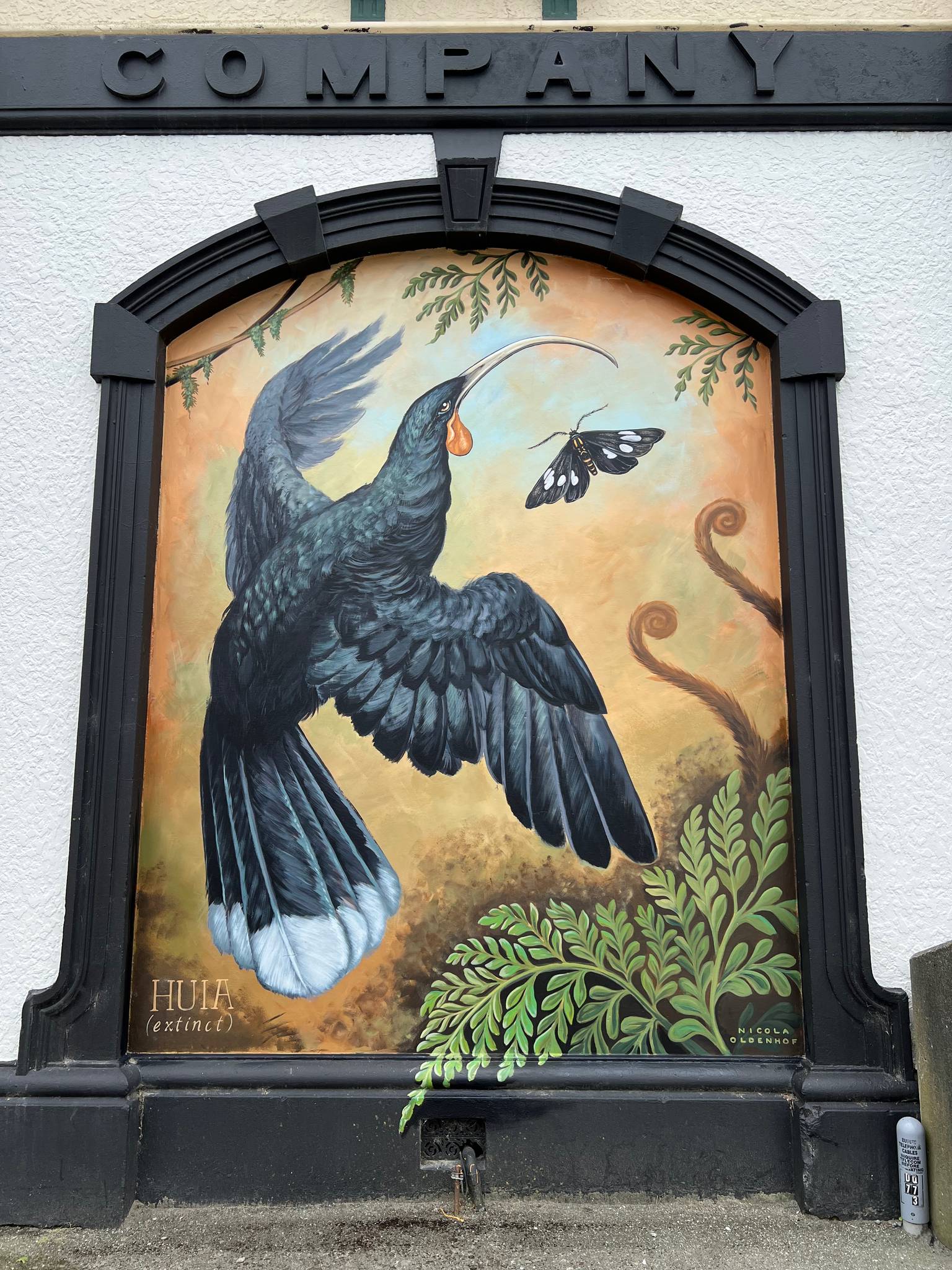 Nicola Oldenhof&mdash;Huia & Magpie Moth