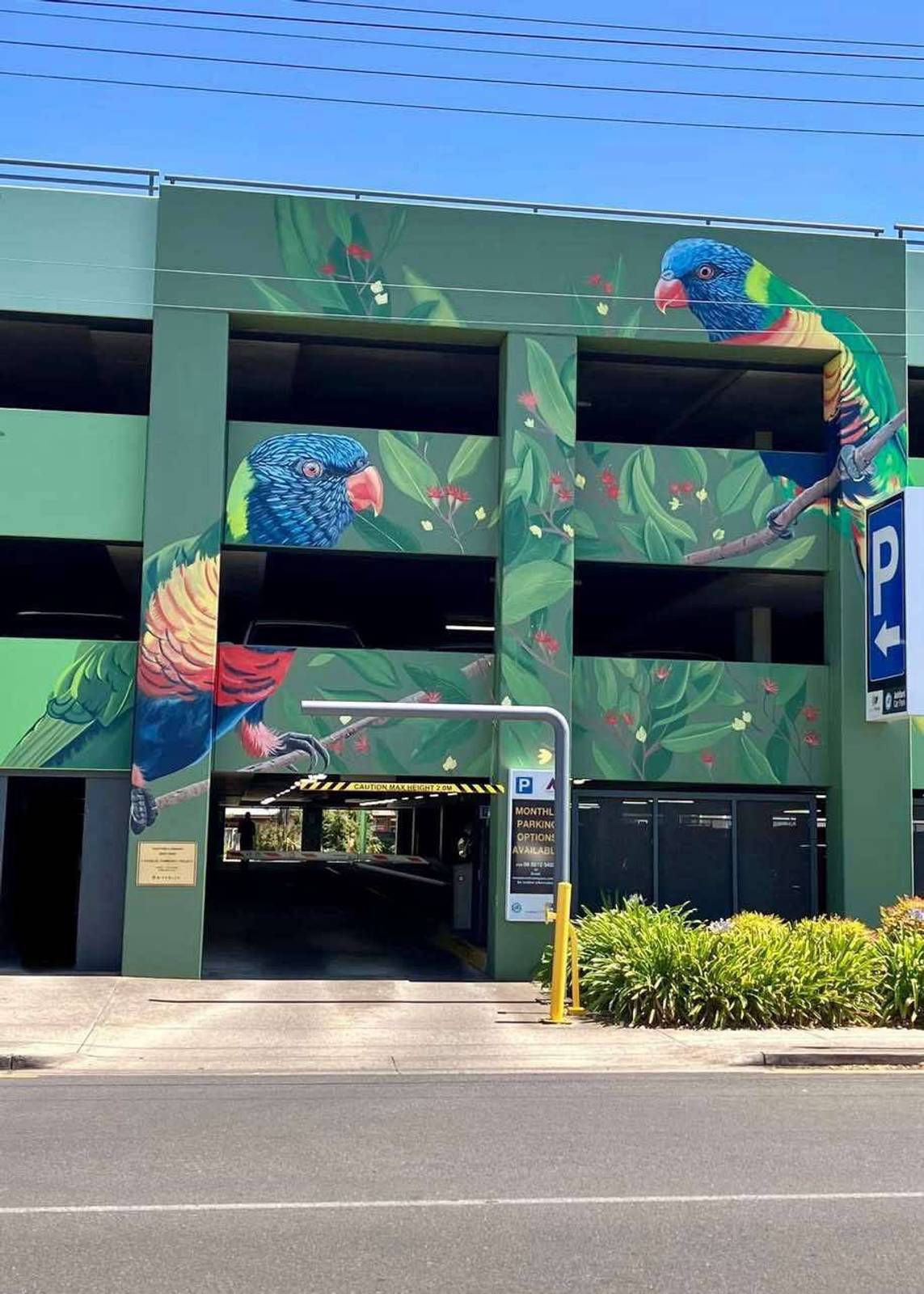 Jack Fran&mdash;Bird Park