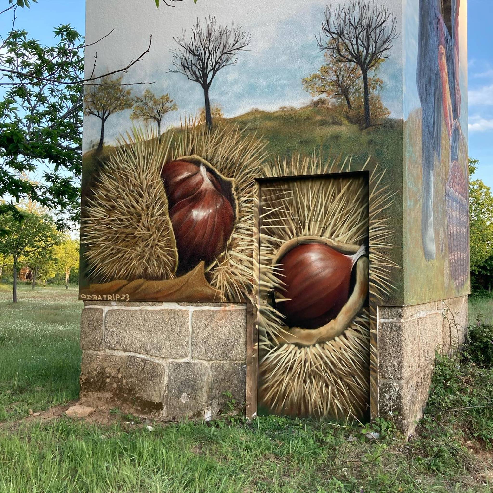 TripDTOS&mdash;Apanha da castanha