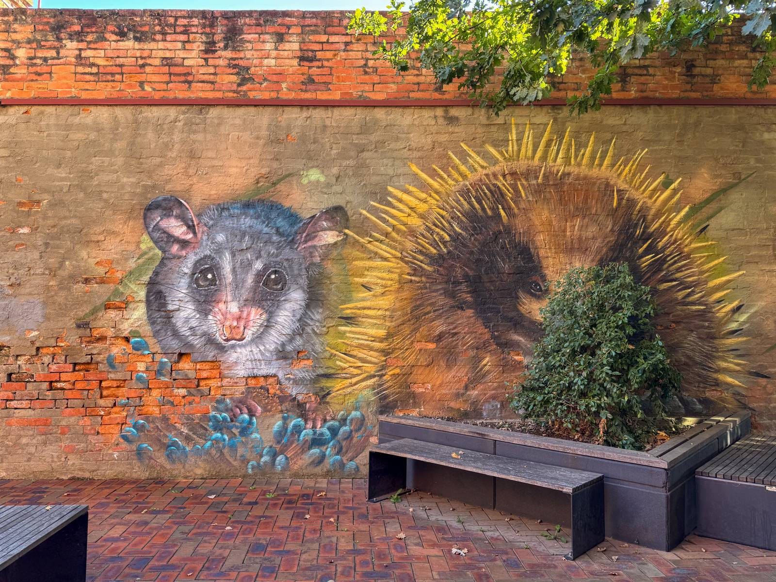 Kade Sarte&mdash;Corowa Memorial Plaza