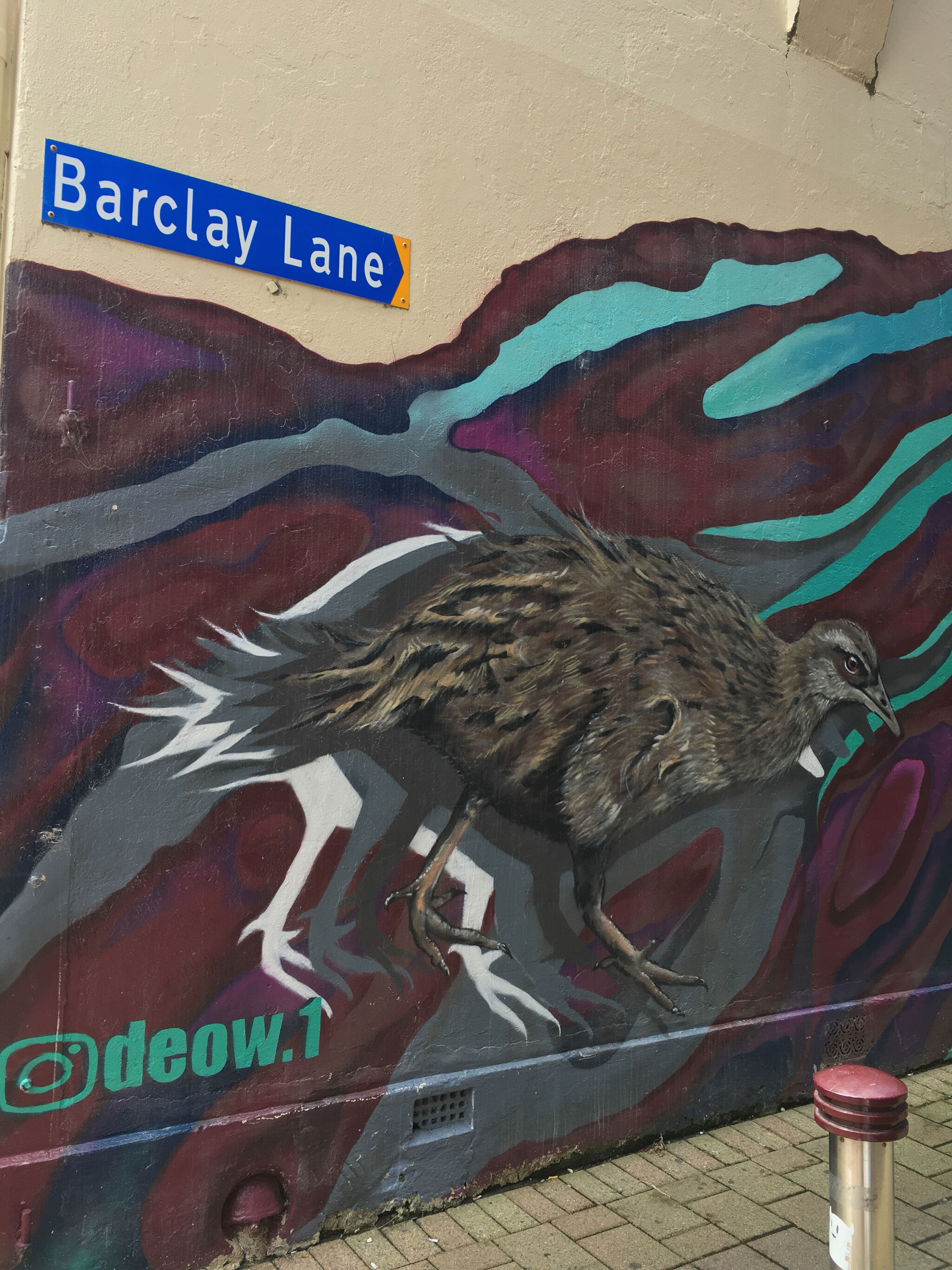 Deow&mdash;Native birds