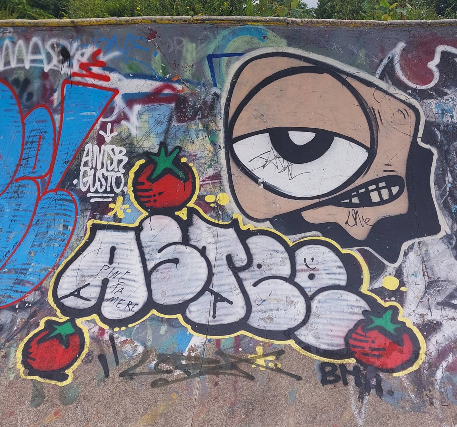 &mdash;Skate park de Cointe
