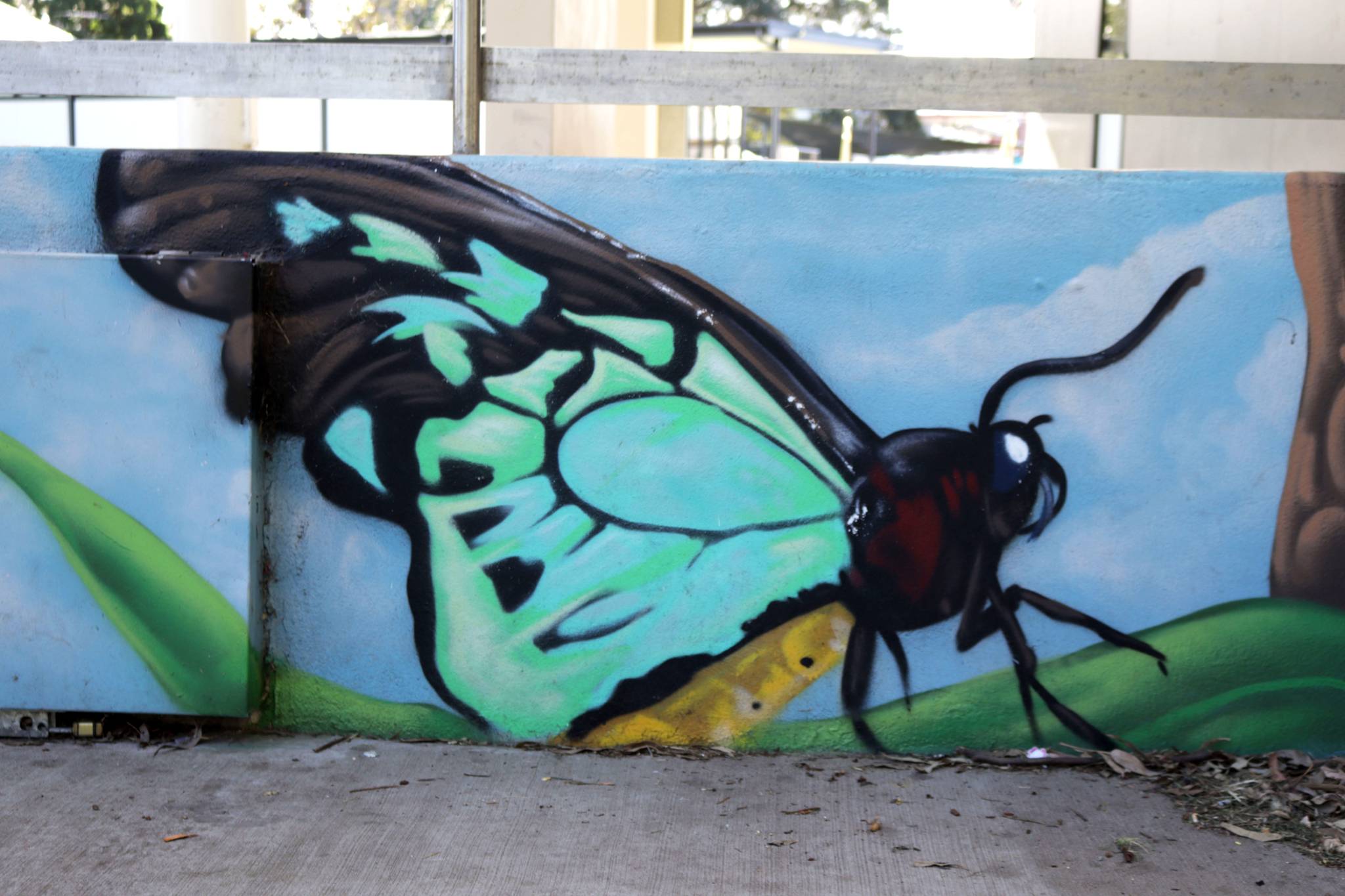 Sektor&mdash;Burwood Park Pavilion