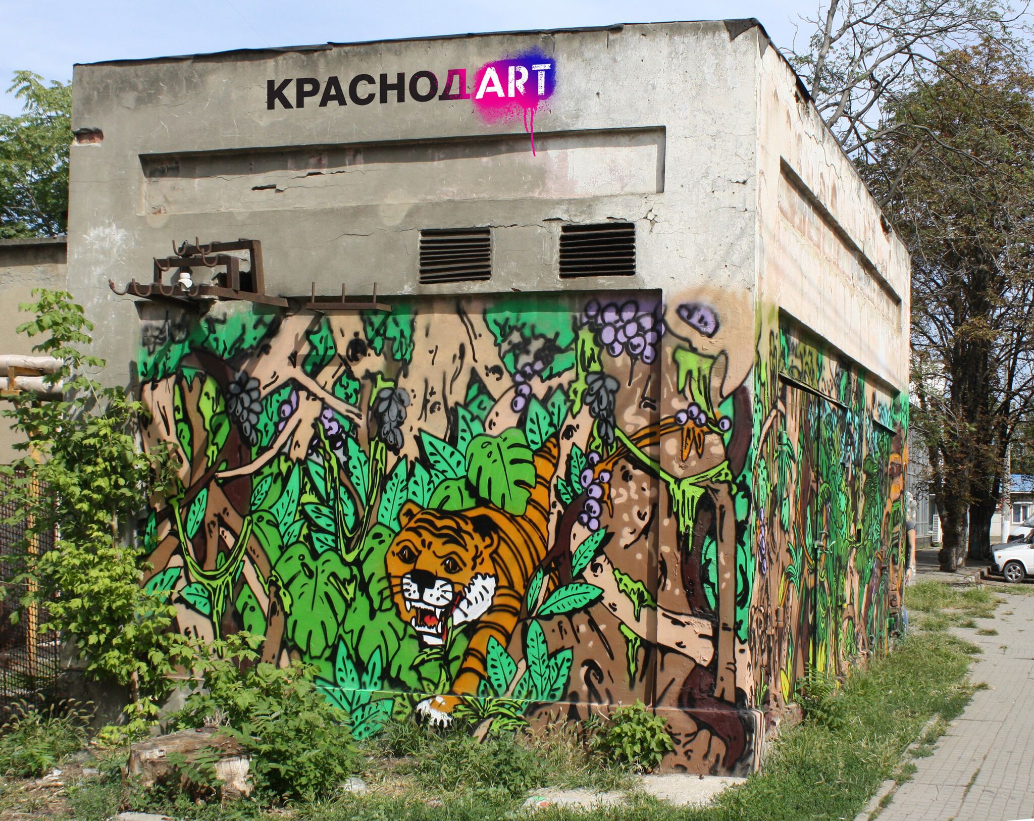 Abel&mdash;jungle kras