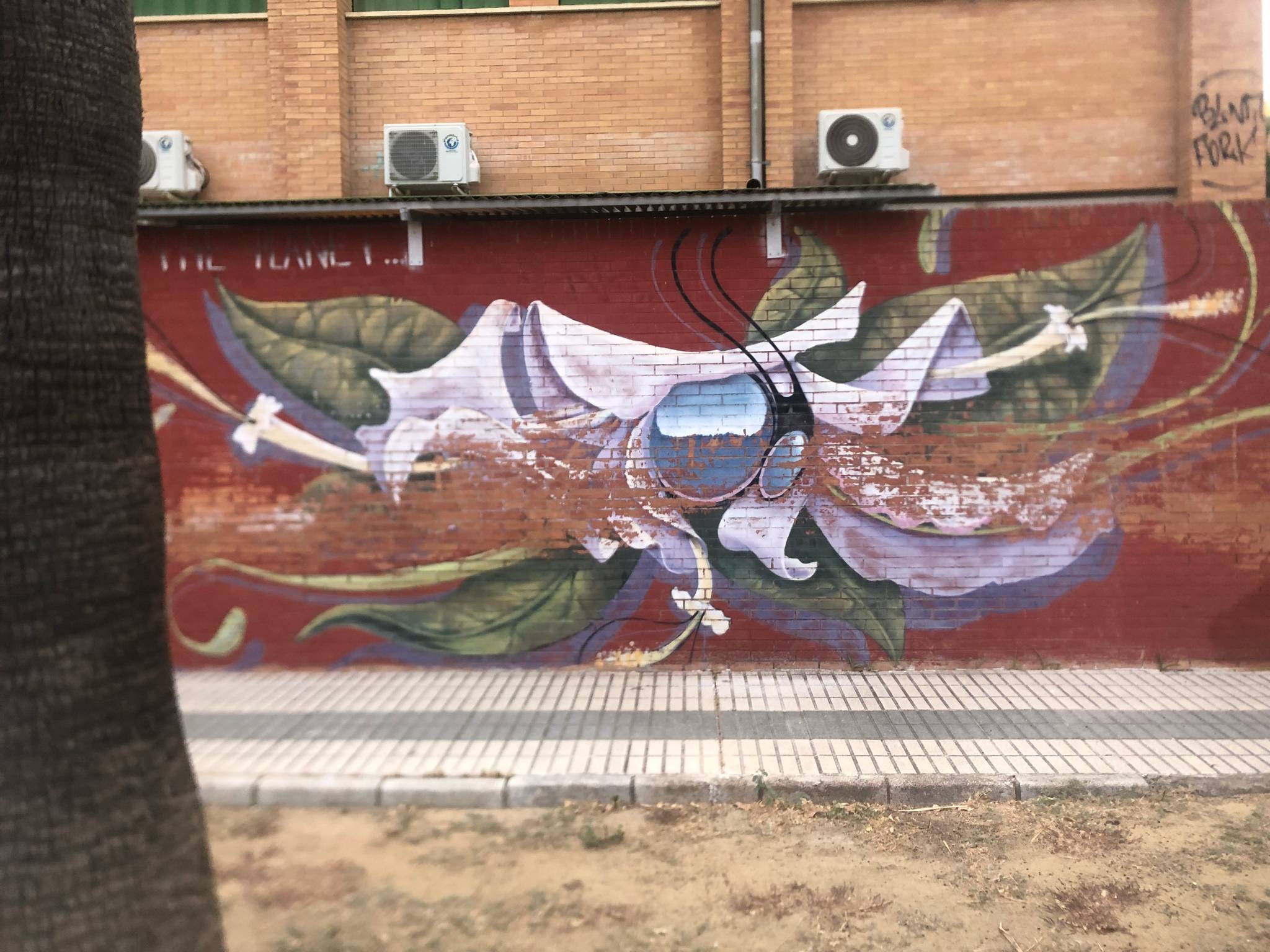 Unknown - Sevilla&mdash;Instituto Llanes- Centro bilingüe