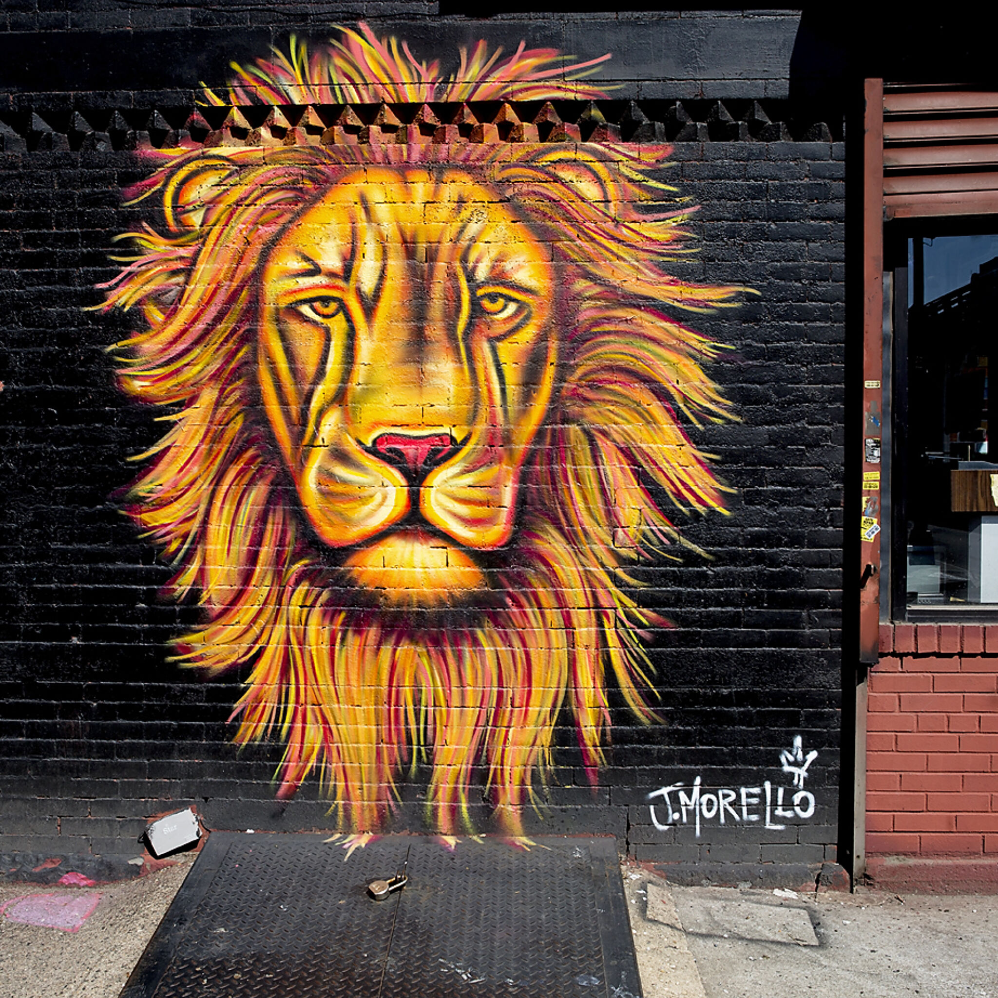 Jenna Morello&mdash;Lion Head