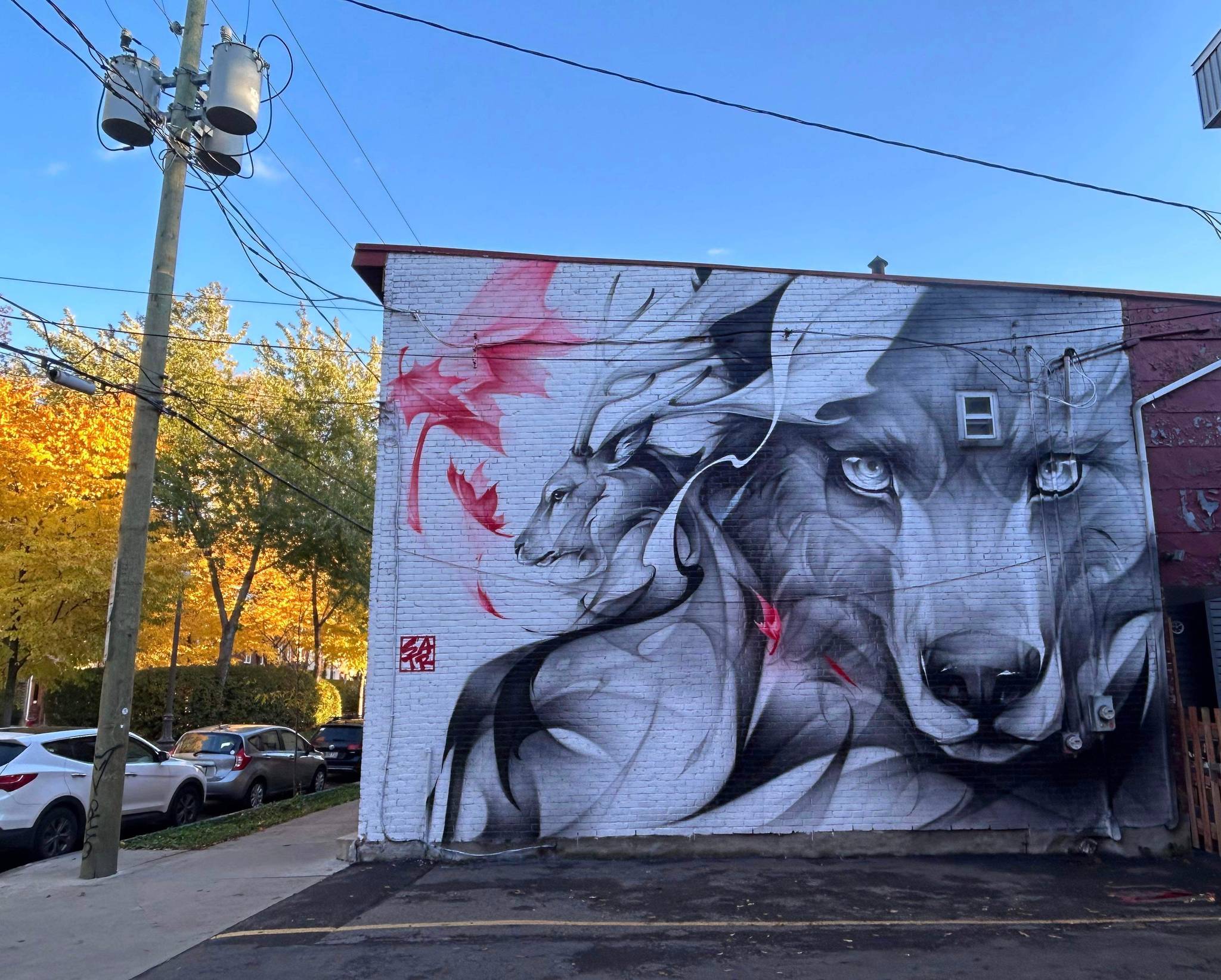 Satr, Street Art In Action&mdash;Canada