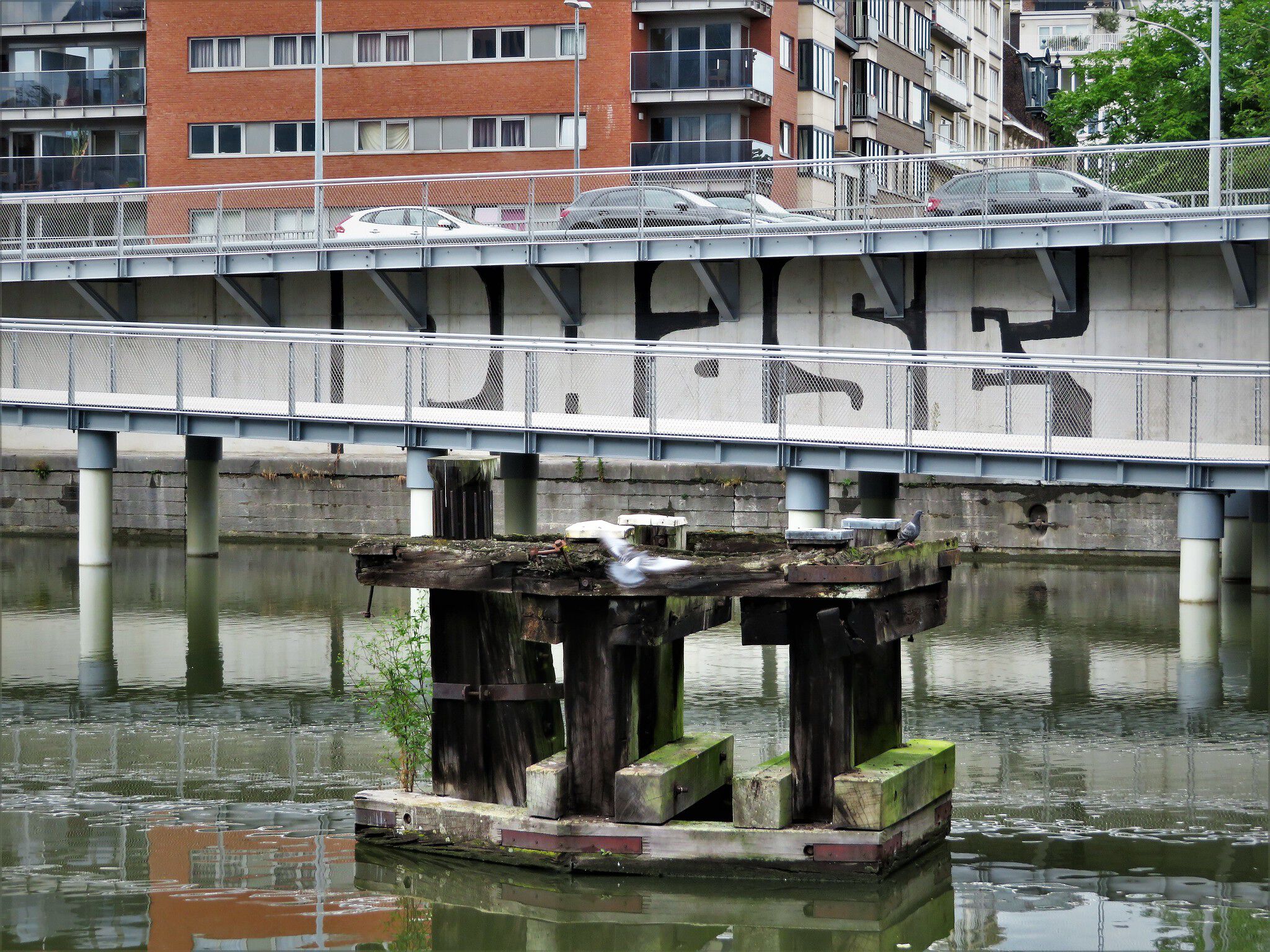 Unknown - Ghent&mdash;Tribute to Phase