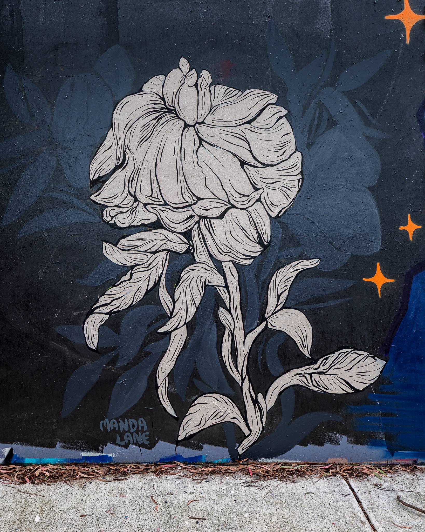 Manda Lane&mdash;undefined