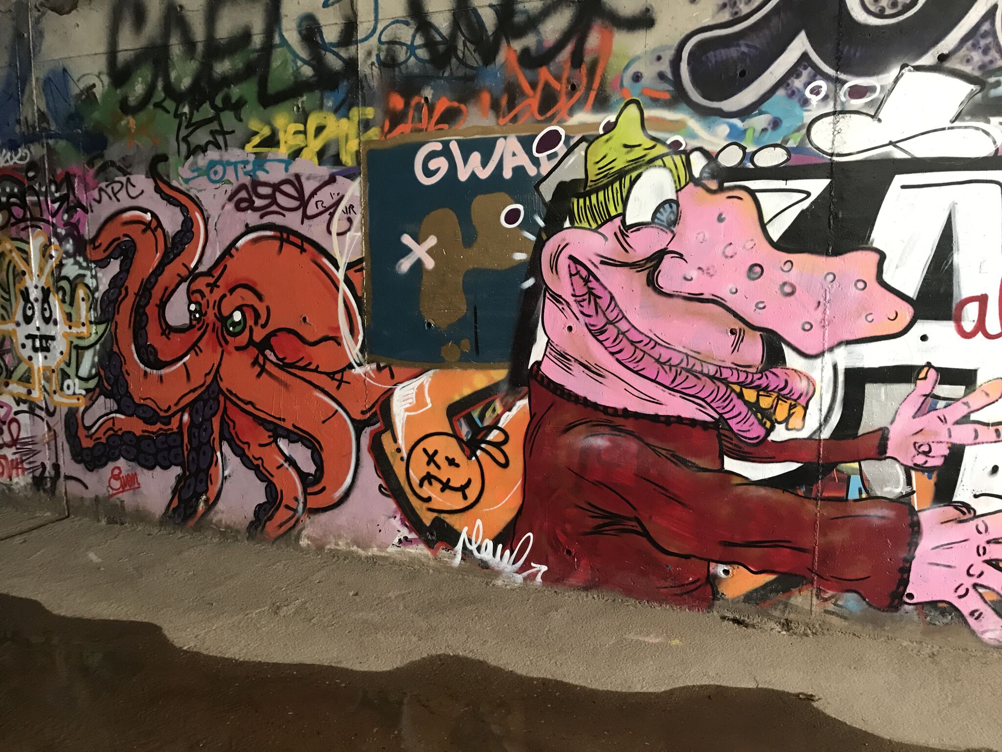 Unknown - Montpellier&mdash;Unknown artist Verdanson 5